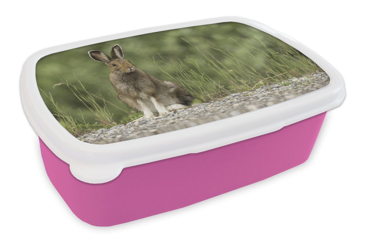 MuchoWow Lunchbox Hase - Tier - Gras, Kunststoff, (2-tlg), Brotbox für Erwachsene, Brotdose Kinder, Snackbox, Mädchen, Kunststoff rosa