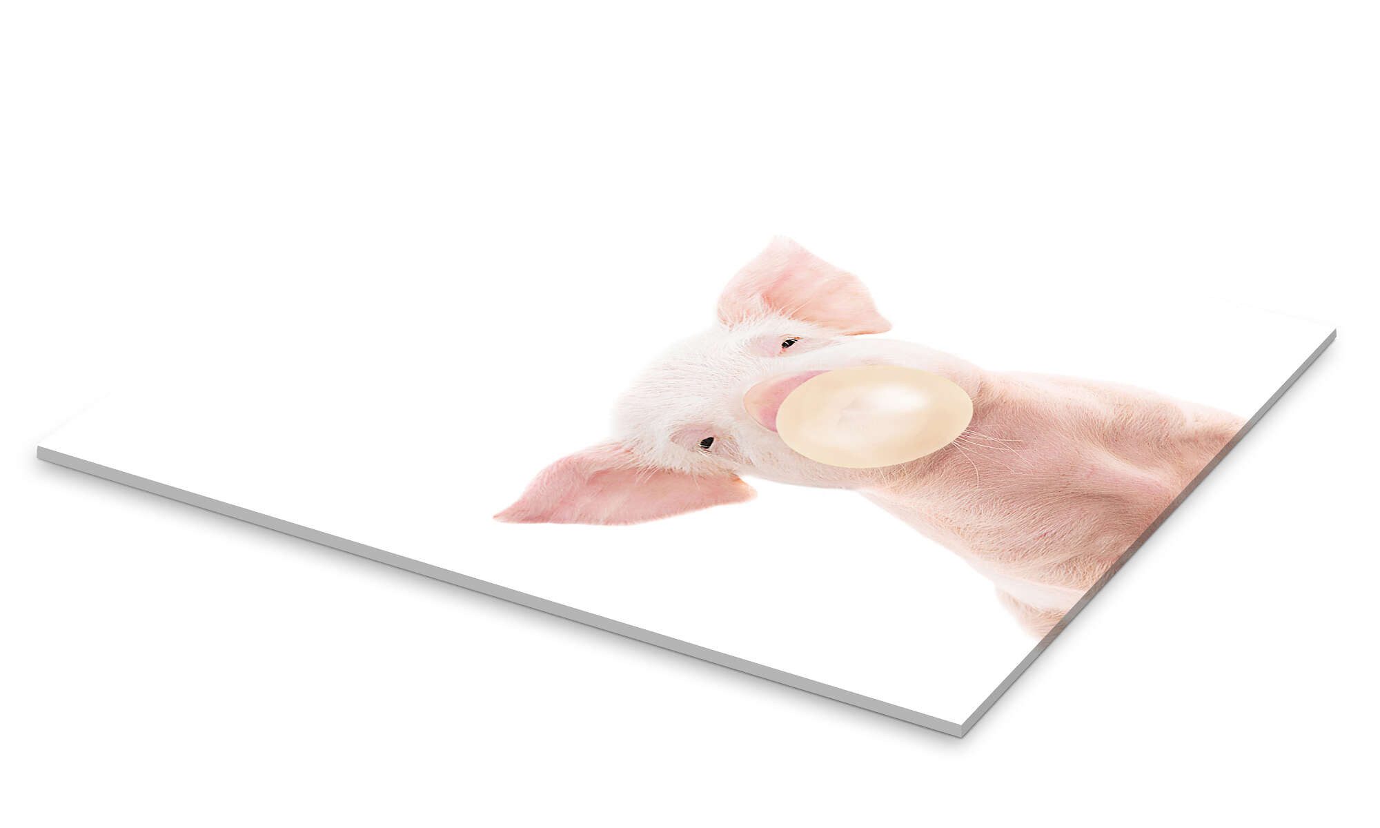 Posterlounge Wandbild Schweinchen mit Kaugummi, Sisi And Seb, erhältlich als Poster, Leinwandbild, Wandsticker oder Acrylglasbild