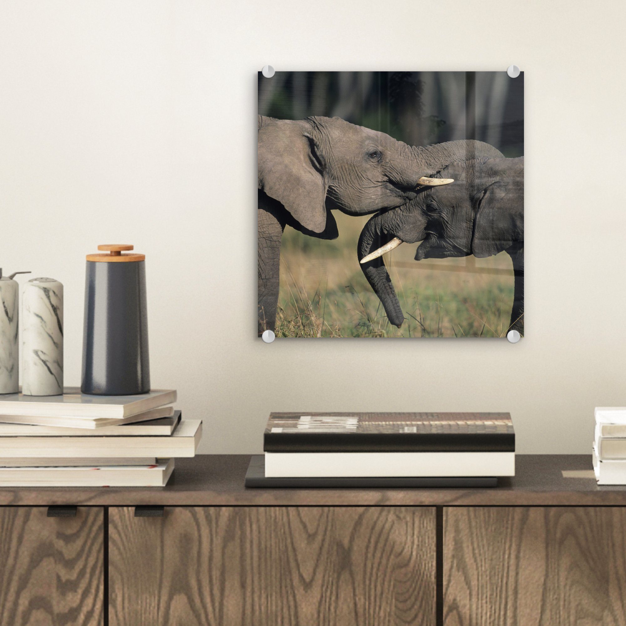 - auf Tiere - Elefant (1 - - Glasbilder - Foto Natur, auf Grau Acrylglasbild Glas Wanddekoration MuchoWow Glas St), - Bilder Wandbild