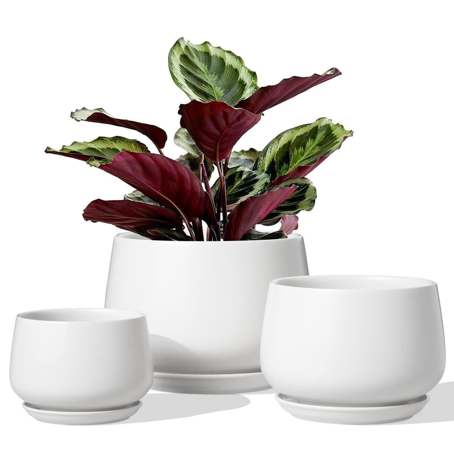 LuxusKollektion Blumentopf Blumentopf Keramik Untersetzer 10 13 16 cm 3er Abflussloch Weiß (1 St)