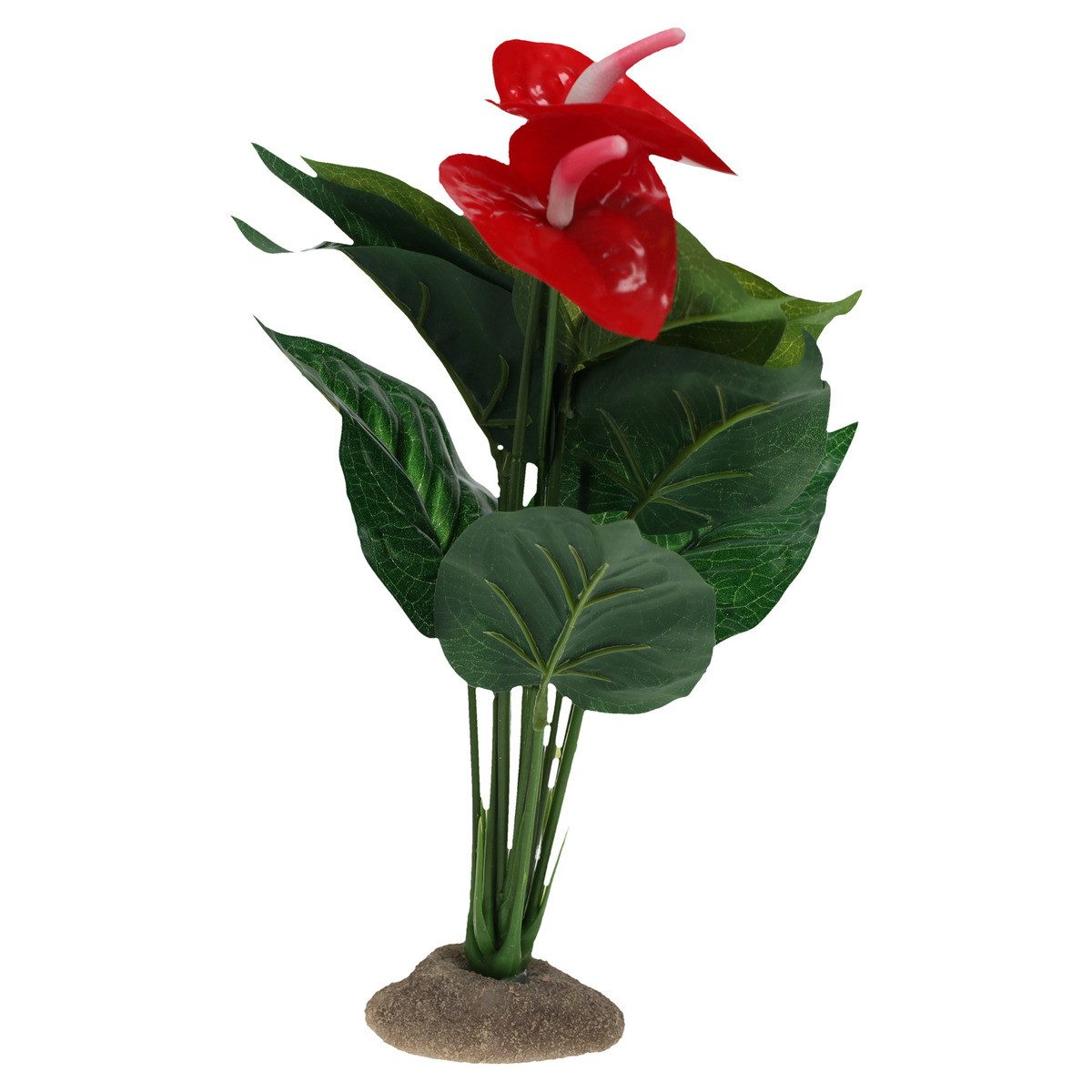 Terra Della Terrariendeko Dekoration Anthurium grün