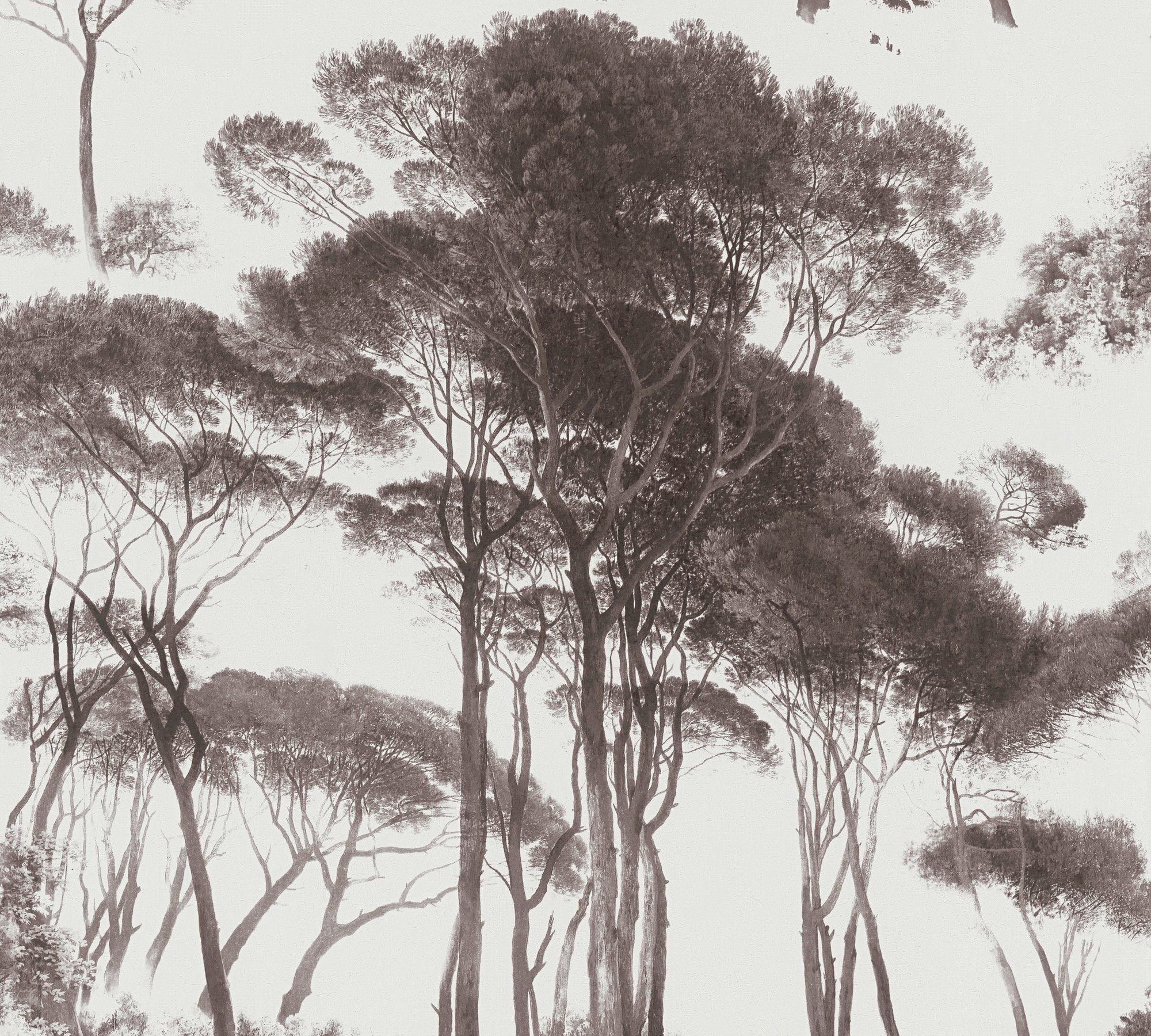 Vliestapete A.S. Wald Création Art, of Tapete History botanisch, schwarz/weiß
