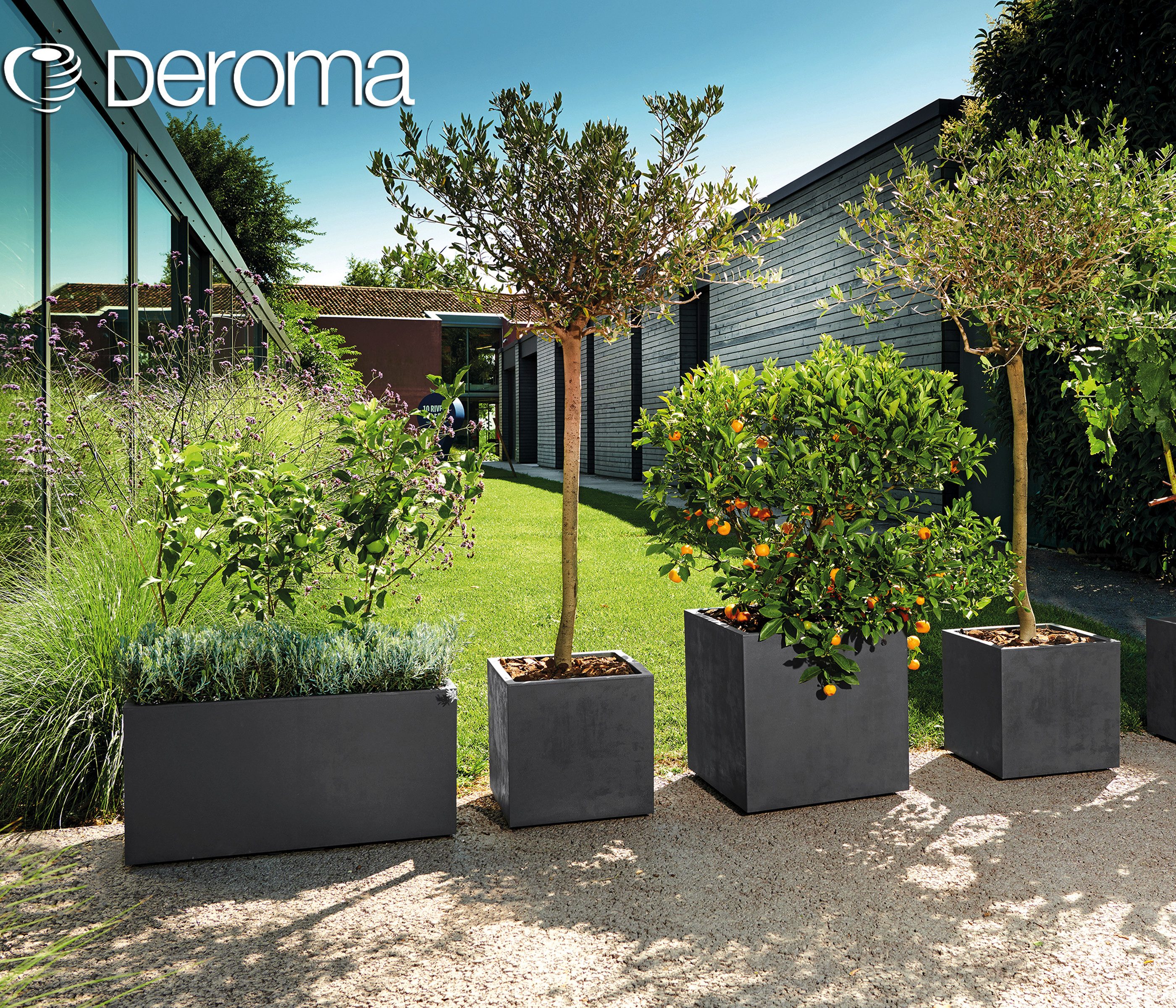Deroma Blumenkasten Pflanzkübel Millenium, eckiger Blumenkasten, günstig online kaufen