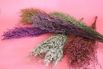 Trockenblume Getrocknete Gräser in vielen Farben - Lila, Kunstharz.Art