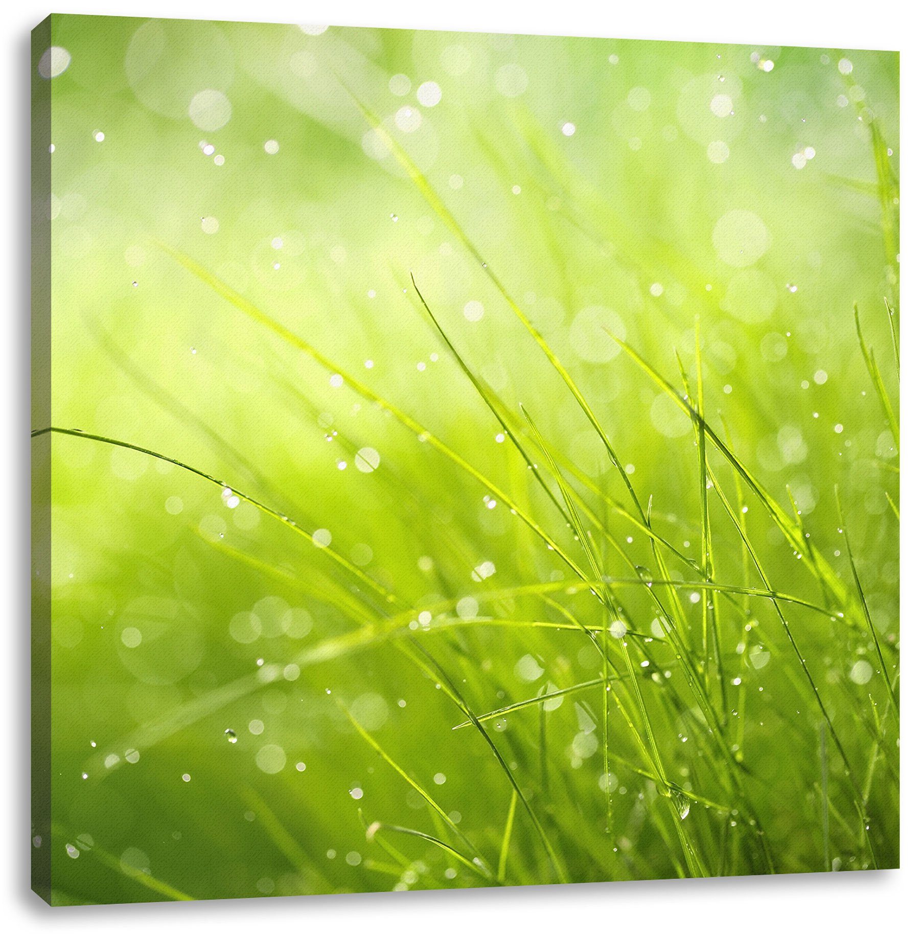 Pixxprint Leinwandbild Nasses Gras, Nasses Gras (1 St), Leinwandbild fertig bespannt, inkl. Zackenaufhänger