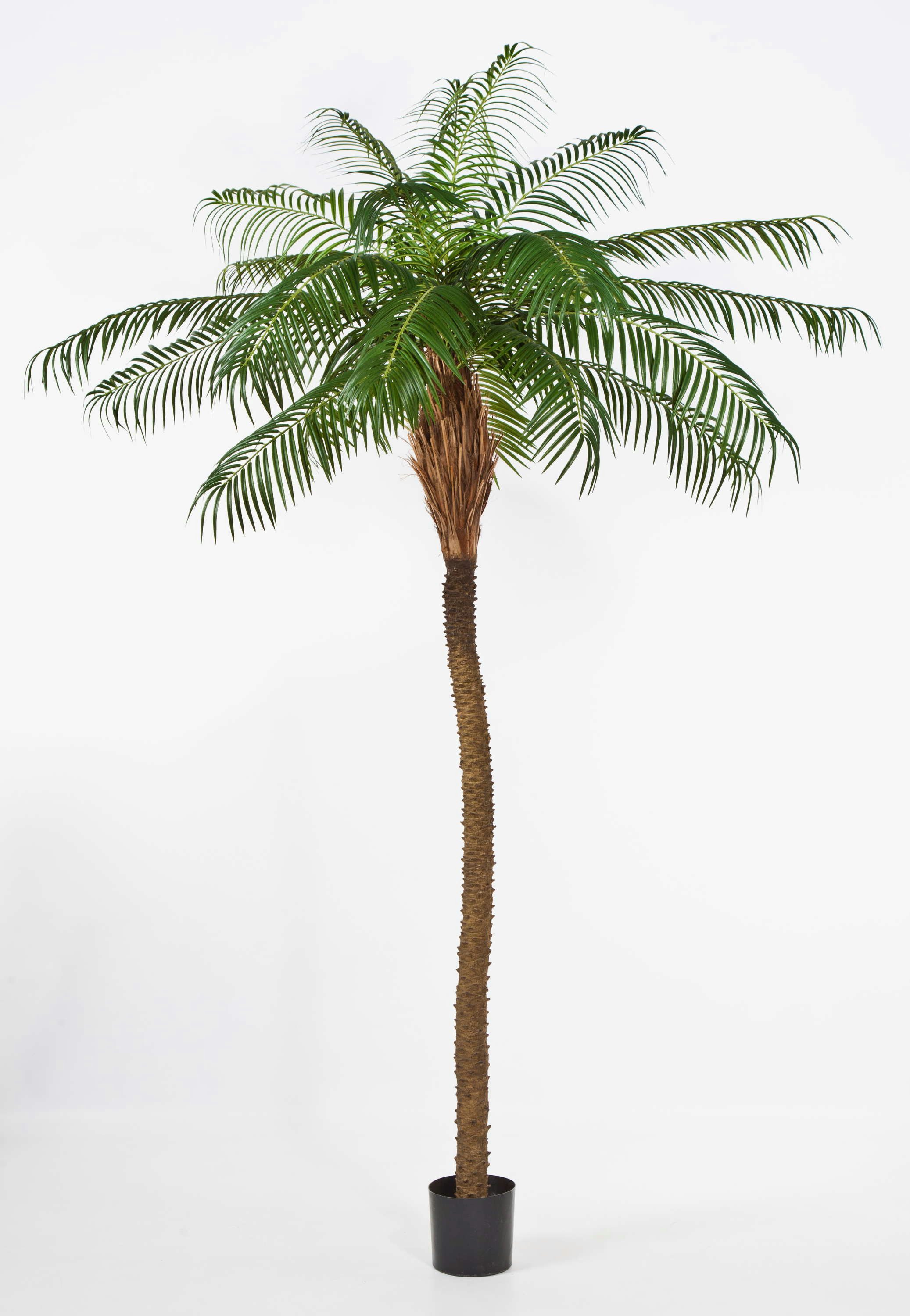 Kunstpalme Künstliche Phönixpalme, Deluxe, 280cm - hochwertige Kunstpalme Dattelpalme, artplants, Höhe 280.0 cm