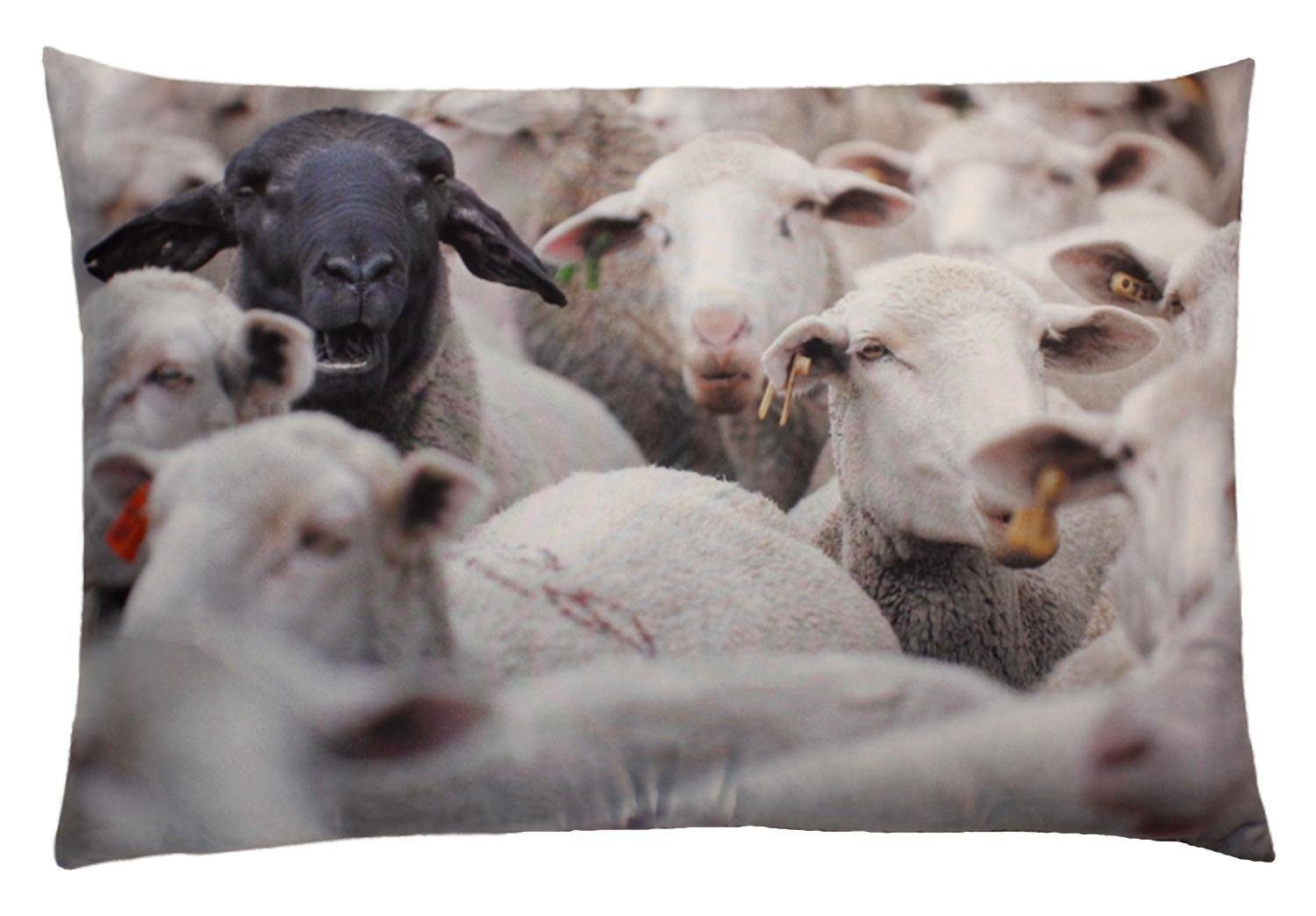 Kissenbezüge Kissenbezug Fotodruck ca. 40x60 cm Dekokissen Kissenhülle Kissen Bezug, Haus und Deko (1 Stück) Schafe