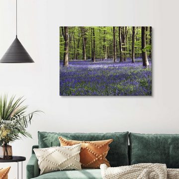 Posterlounge Leinwandbild Adrian Bicker, Glockenblumen im Wald, Fotografie