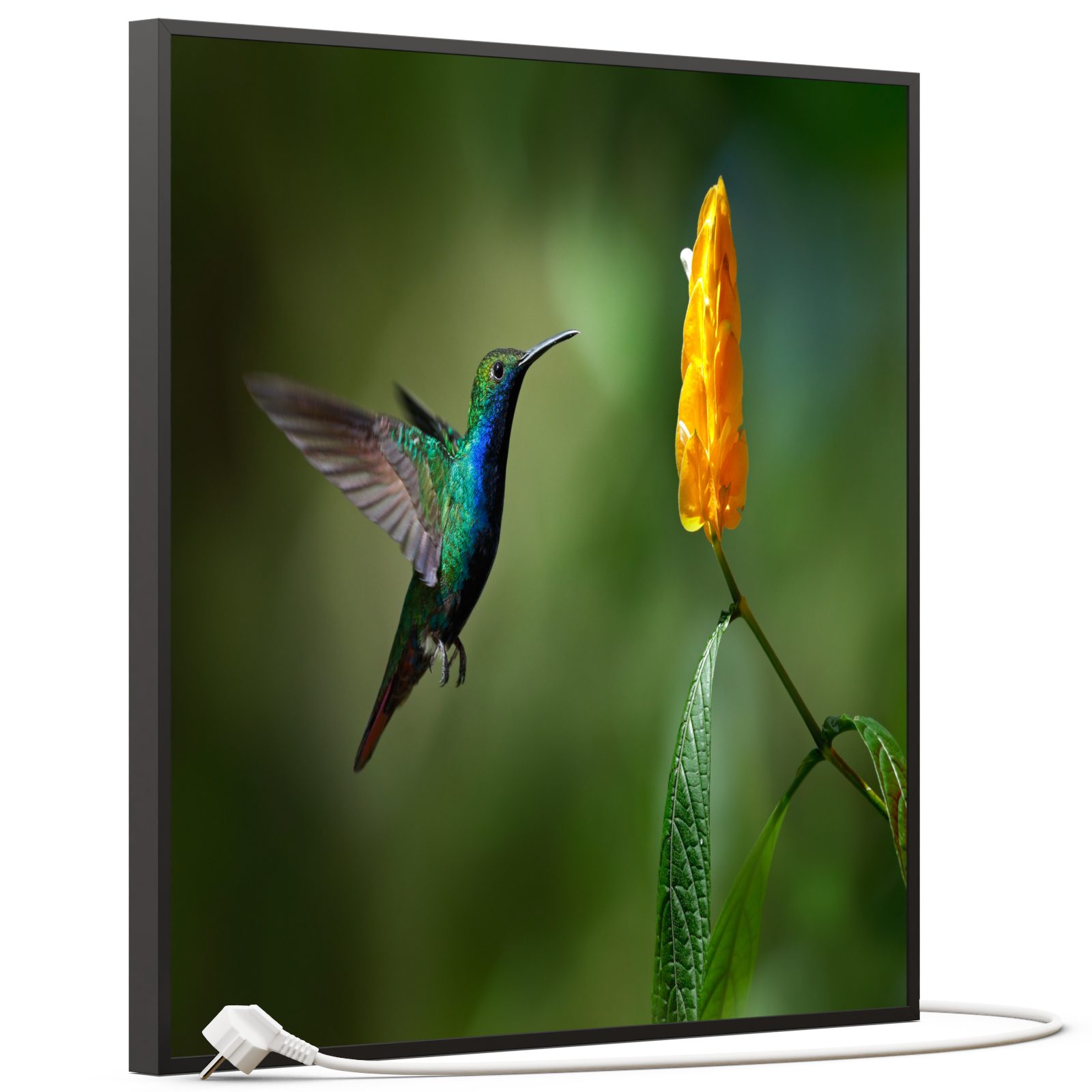 STEINFELD Heizsysteme Infrarotheizung, Bild, 350W 60x60cm, günstig online kaufen