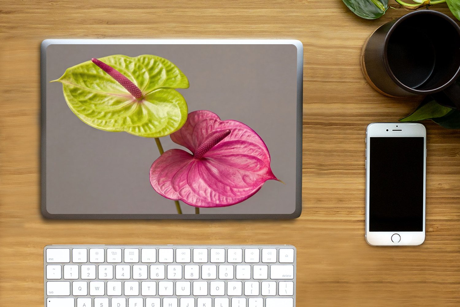 MuchoWow Laptop-Aufkleber Pflanzen - Anthurium - Grün - Rosa, (1tlg), Laptop Folien Cover, Aufkleber, Sticker, Schutz vor Kratzern, 25x18 cm