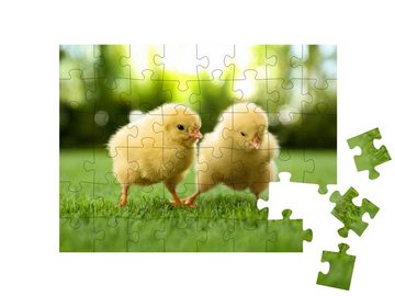 puzzleYOU Puzzle Zwei flauschige Küken auf einer günen Wiese, 48 Puzzleteile, puzzleYOU-Kollektionen Hühner & Küken, Bauernhof-Tiere