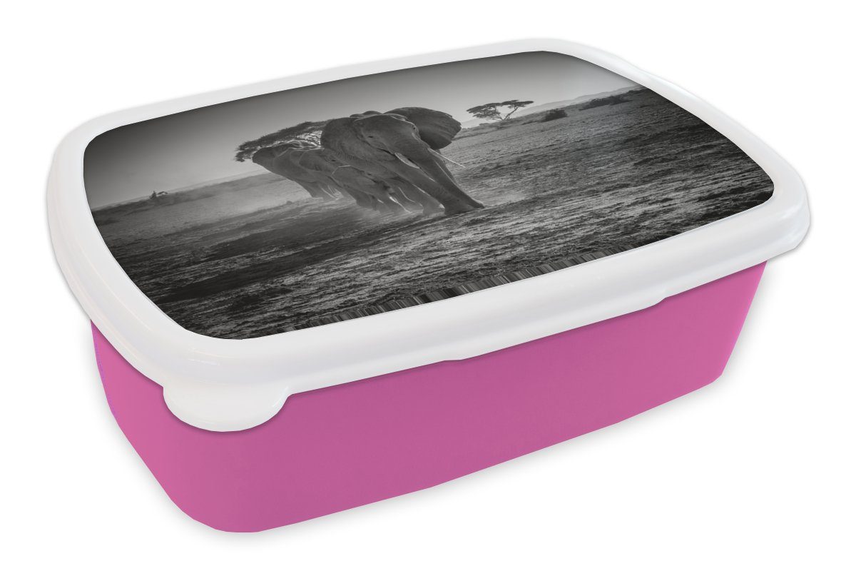 Weiß, - - für rosa Lunchbox Tiere Kunststoff, Elefant Brotbox Erwachsene, - Snackbox, Brotdose Einfarbig - Kunststoff MuchoWow Kinder, (2-tlg), Mädchen, Schwarz