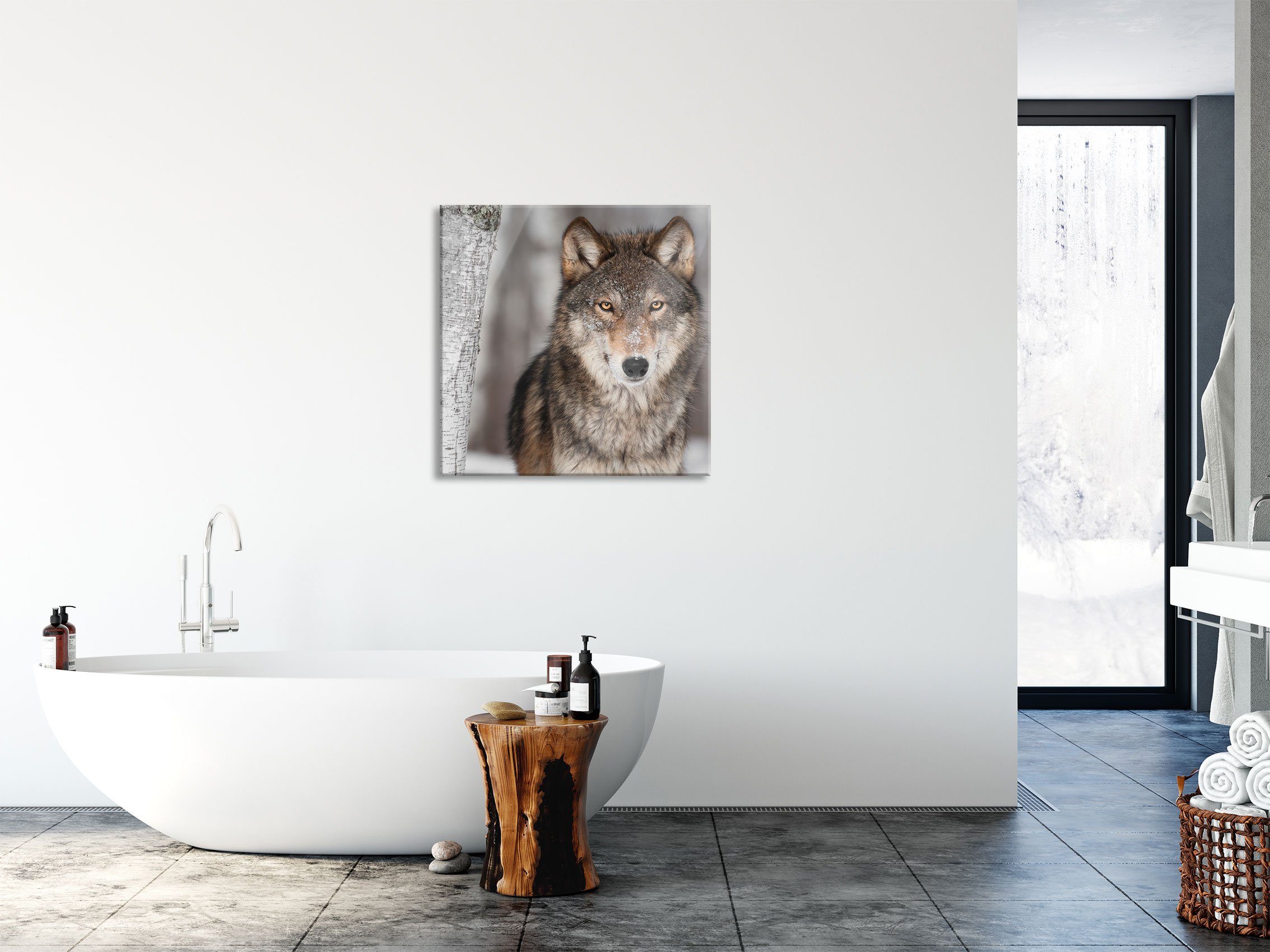 Glasbild Echtglas, St), (1 aus und Glasbild Wolf Wolf, Abstandshalter Wachsamer Wachsamer inkl. Pixxprint Aufhängungen