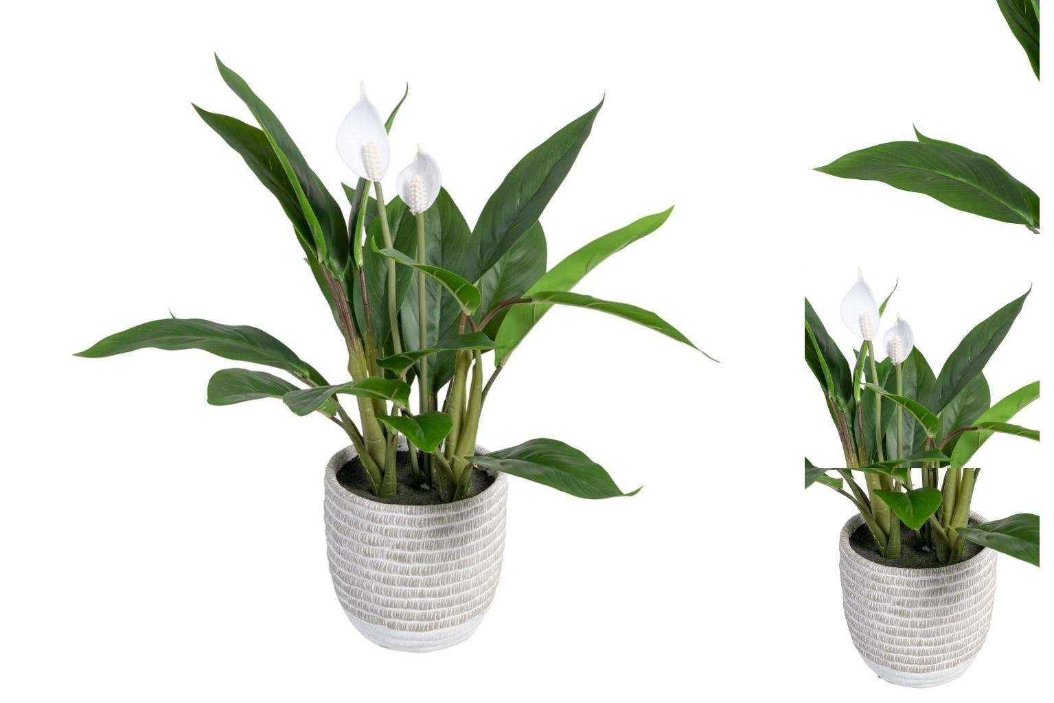 Künstliche Zimmerpflanze Dekorationspflanze 40 x 41 x 48 cm grün PVC Künstliche Pflanze, Bigbuy, Höhe 55 cm