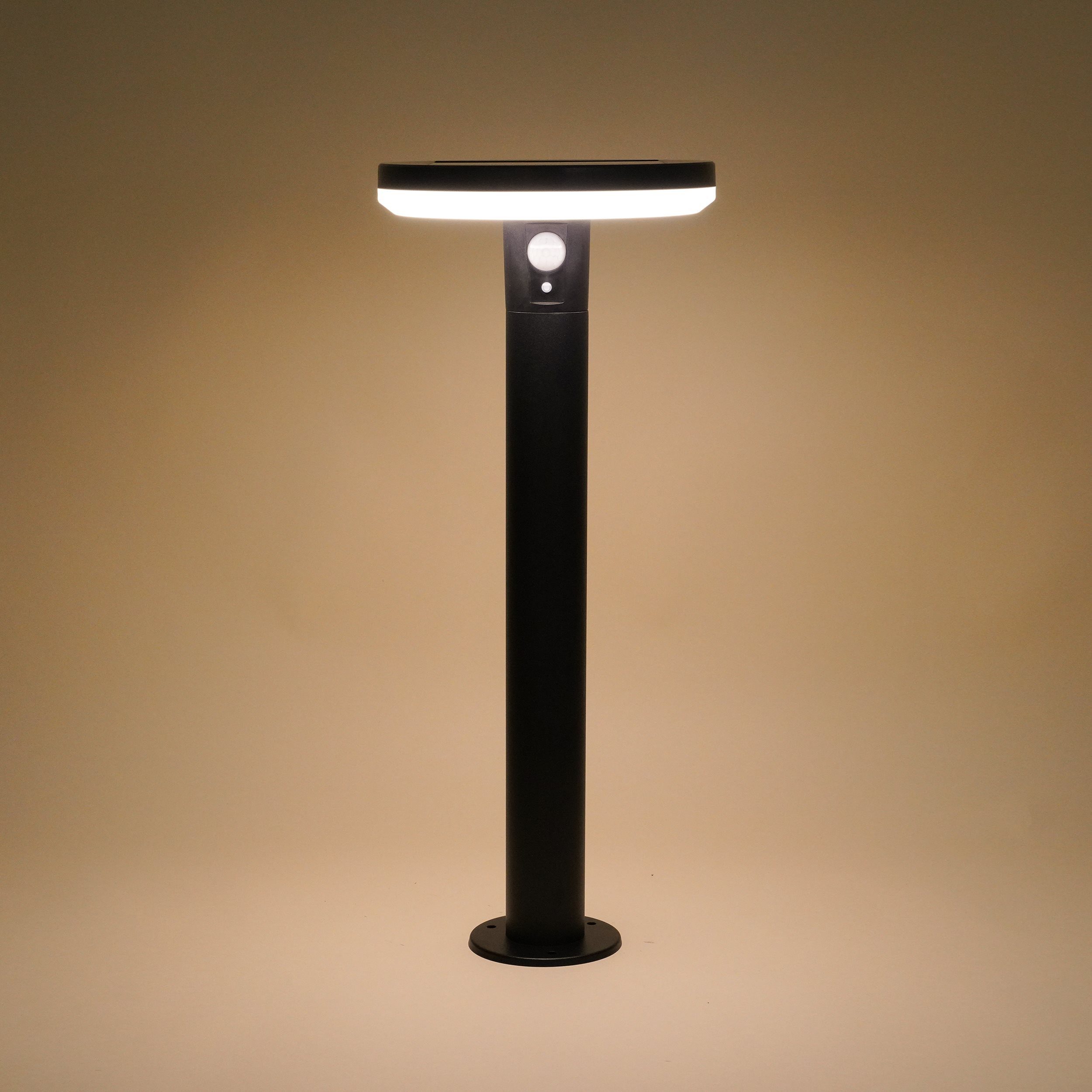 esotec LED Solarleuchte Solarleuchte für außen AREZZO, PIR, Edelstahl, LIFEPO4 Akku, 102742, LED fest integriert