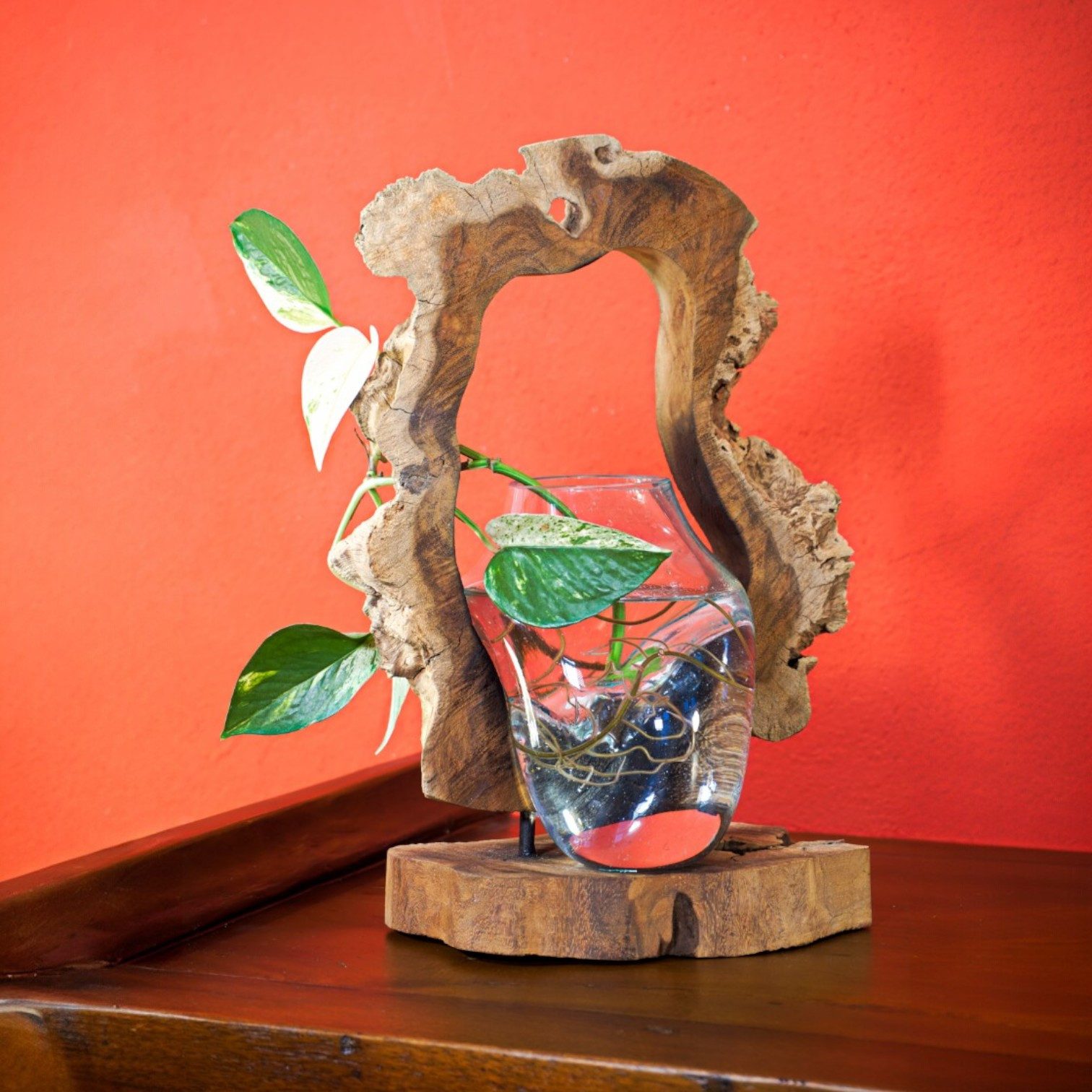 Kinaree Dekovase Geschmolzenes Glas in Baumscheibe (Glas + Baumscheibe), Glas, Naturprodukt, Handgefertigt, Wurzelholz, Einzelstücke