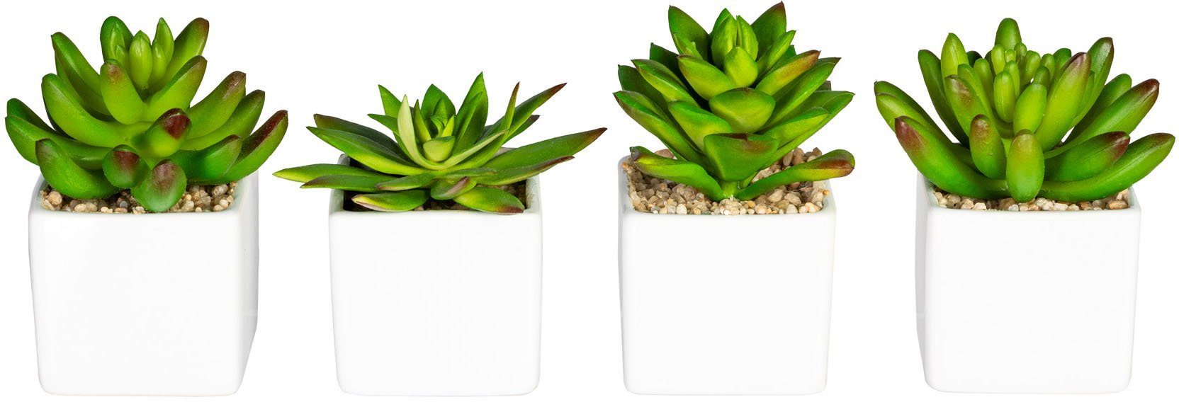 Künstliche Zimmerpflanze Runa Sukkulente, andas, Höhe 10 cm, im  Keramiktopf, 4er Set