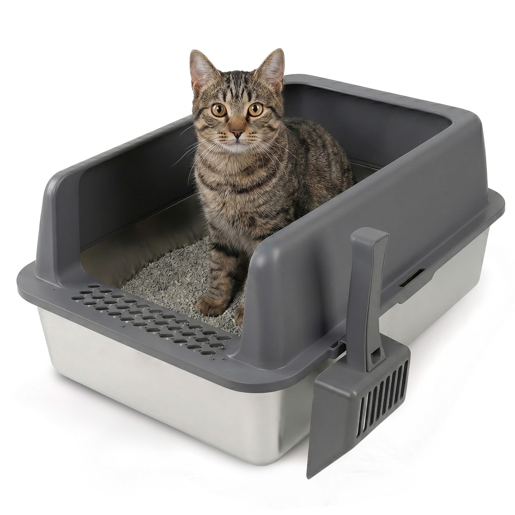 DAITORE Katzentoilette Katzenklo Edelstahl XXL, Katzentoilette Edelstahl 28L, mit Metall Katzenstreuschaufel 58x37x26cm