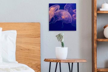 OneMillionCanvasses® Leinwandbild Transparente und leuchtende Quallen im dunklen Wasser, (1 St), Leinwand Bilder für Wohnzimmer Schlafzimmer