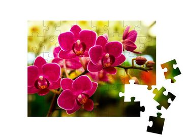 puzzleYOU Puzzle Rosa Orchideen, 48 Puzzleteile, puzzleYOU-Kollektionen Flora, Blumen, Pflanzen, Blumen & Pflanzen
