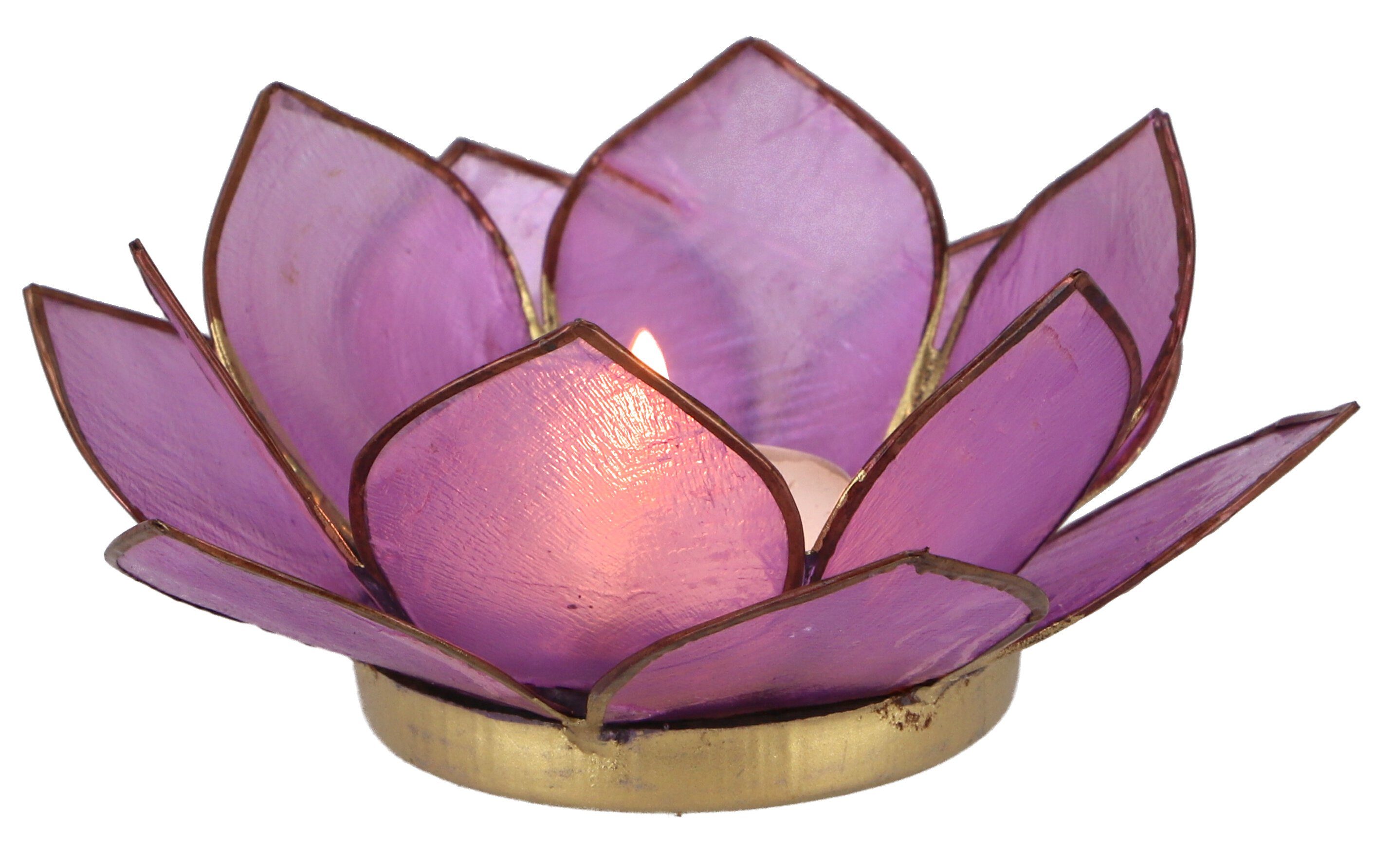 Guru-Shop Windlicht Lotus Teelicht Muschel 11*4 cm - dunkel-lila