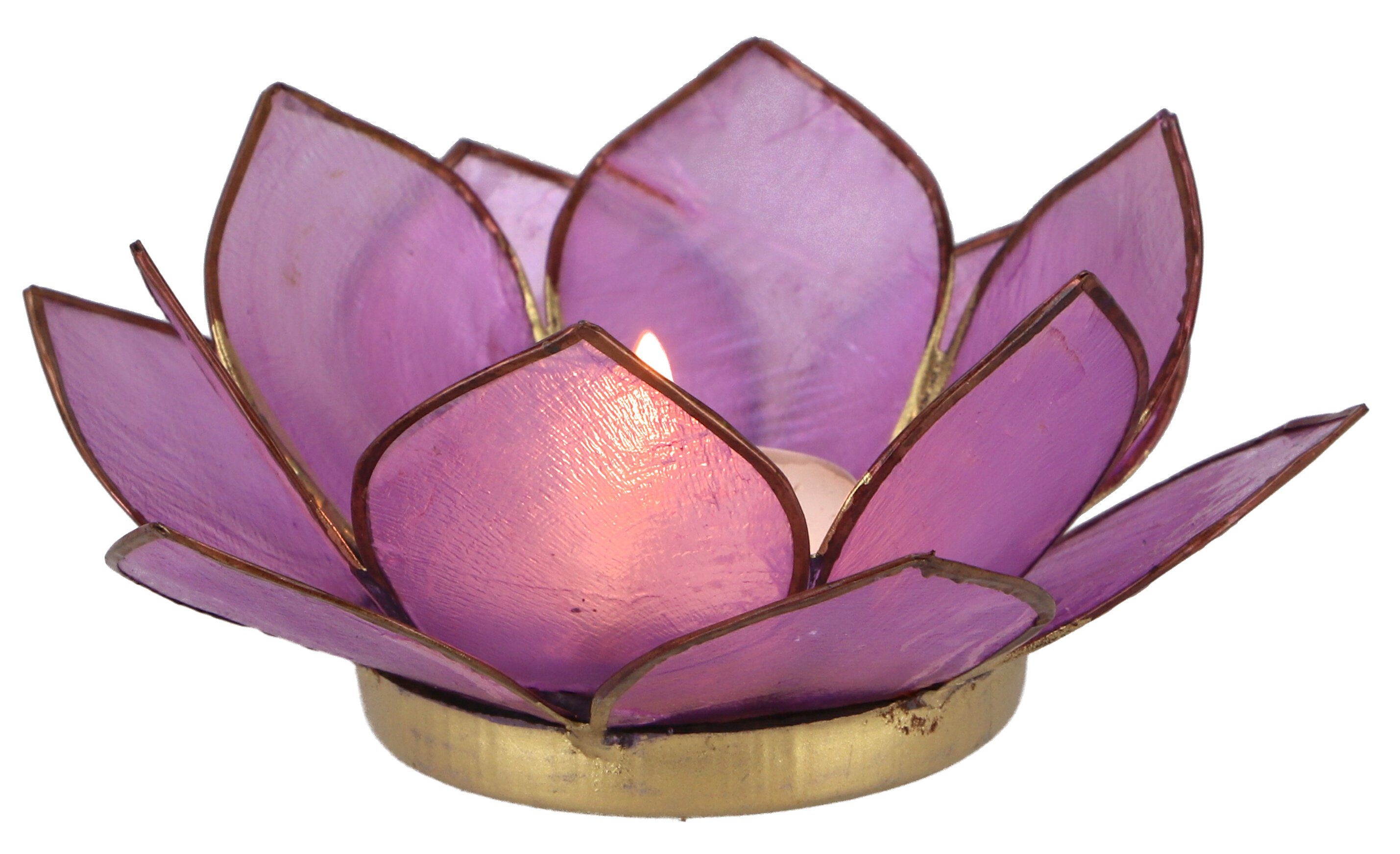 Guru-Shop Windlicht Lotus Teelicht Muschel 11*4 günstig online kaufen