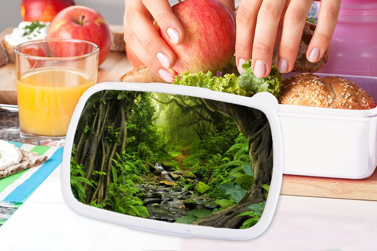 MuchoWow Lunchbox Natur Kinder Tropisch, Brotdose, - Mädchen und Brotbox Dschungel Wasser Jungs (2-tlg), - für Erwachsene, und Wald - weiß für - Kunststoff