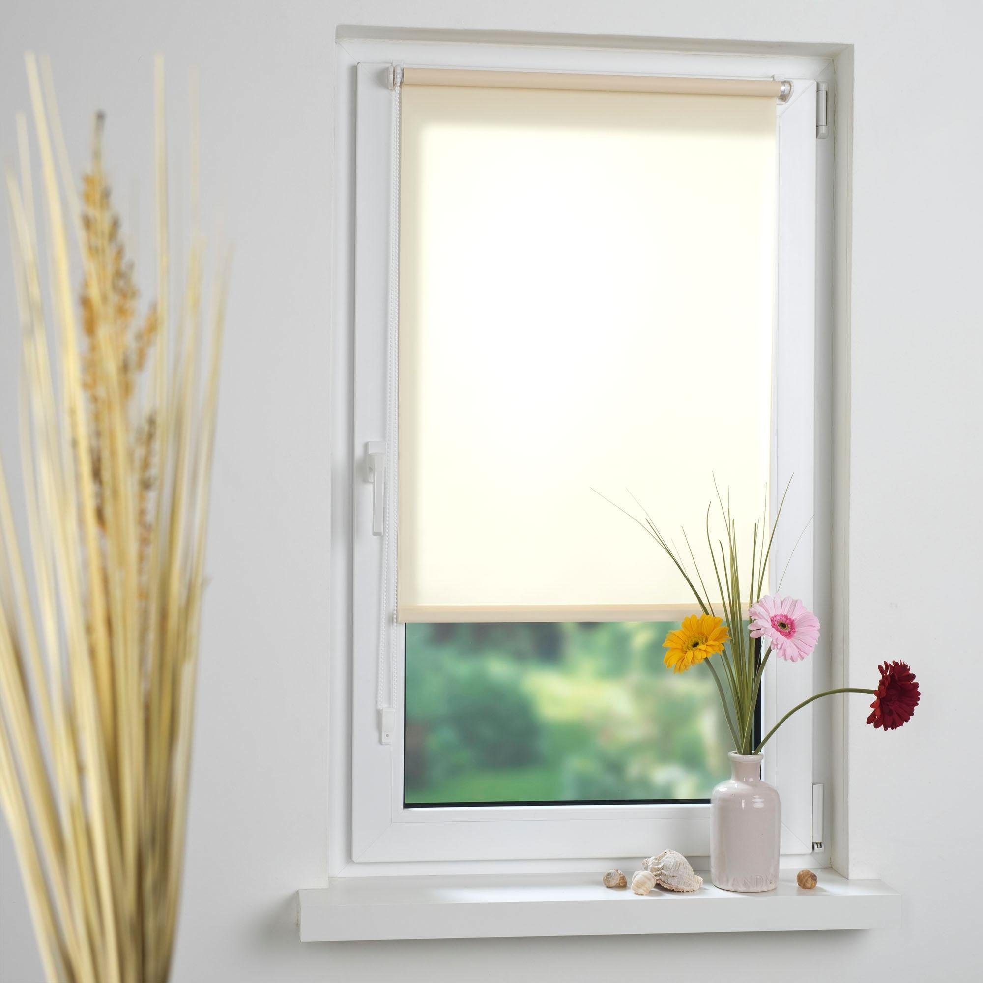 Seitenzugrollo Klemmfix, Liedeco, Lichtschutz, ohne Bohren, günstig online kaufen