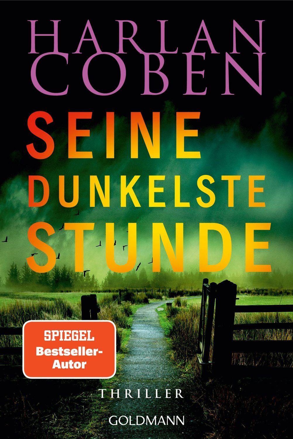 Seine dunkelste Stunde - Myron Bolitar ermittelt / Harlan Coben
