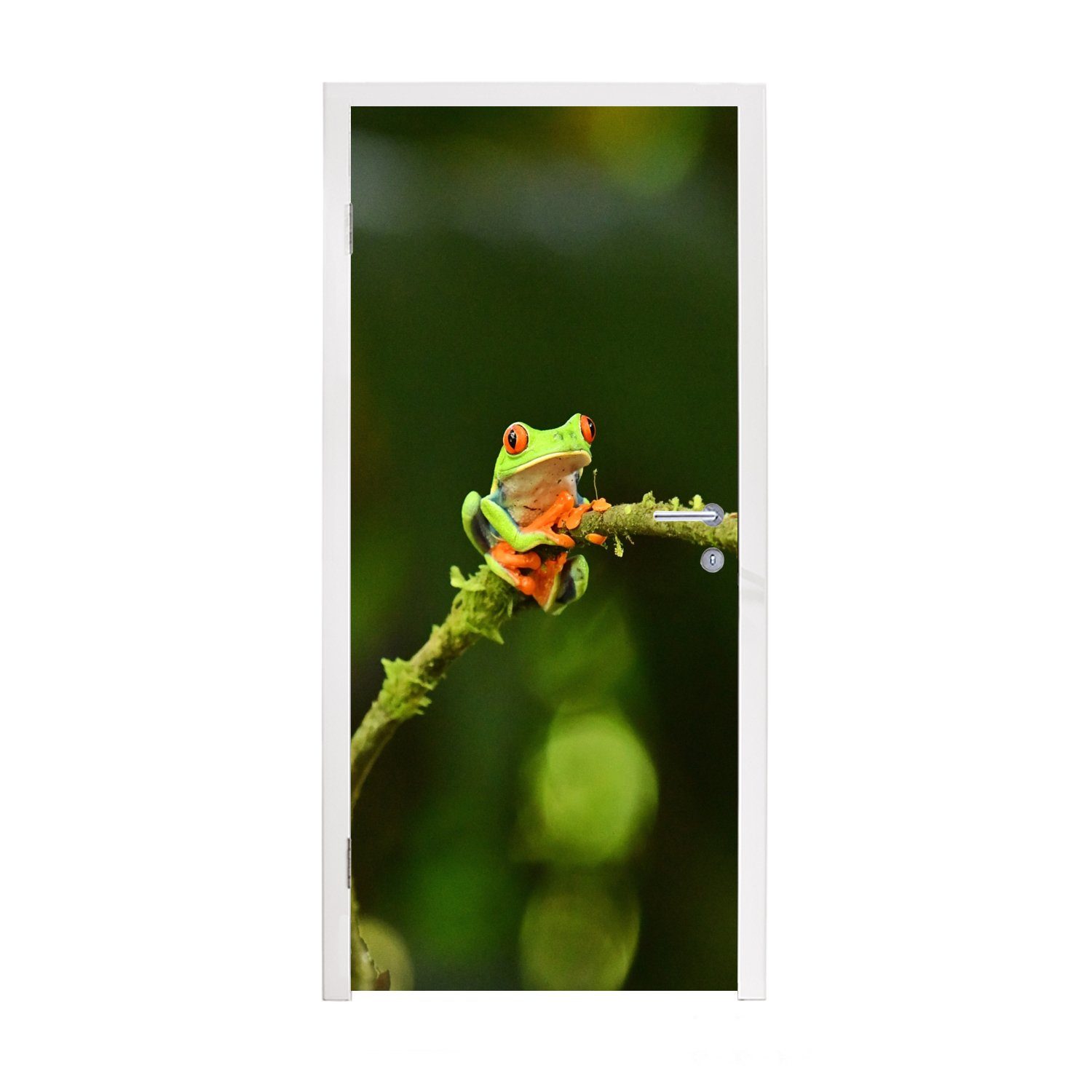 MuchoWow Türtapete Frosch - Äste - Grün, Matt, bedruckt, (1 St), Fototapete für Tür, Türaufkleber, 75x205 cm