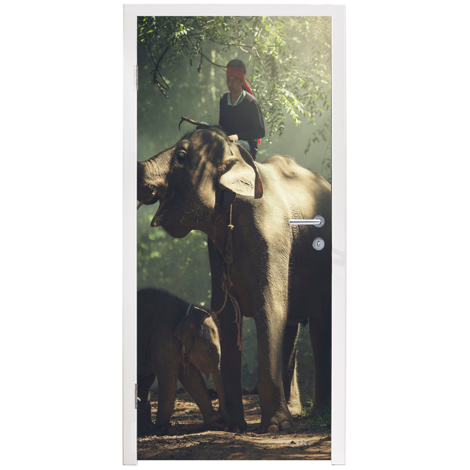MuchoWow Türtapete - bedruckt, - - Wald (1 Fototapete Matt, Bäume 75x205 Türaufkleber, für Elefant Tiere cm St), Tür, Trainer, 