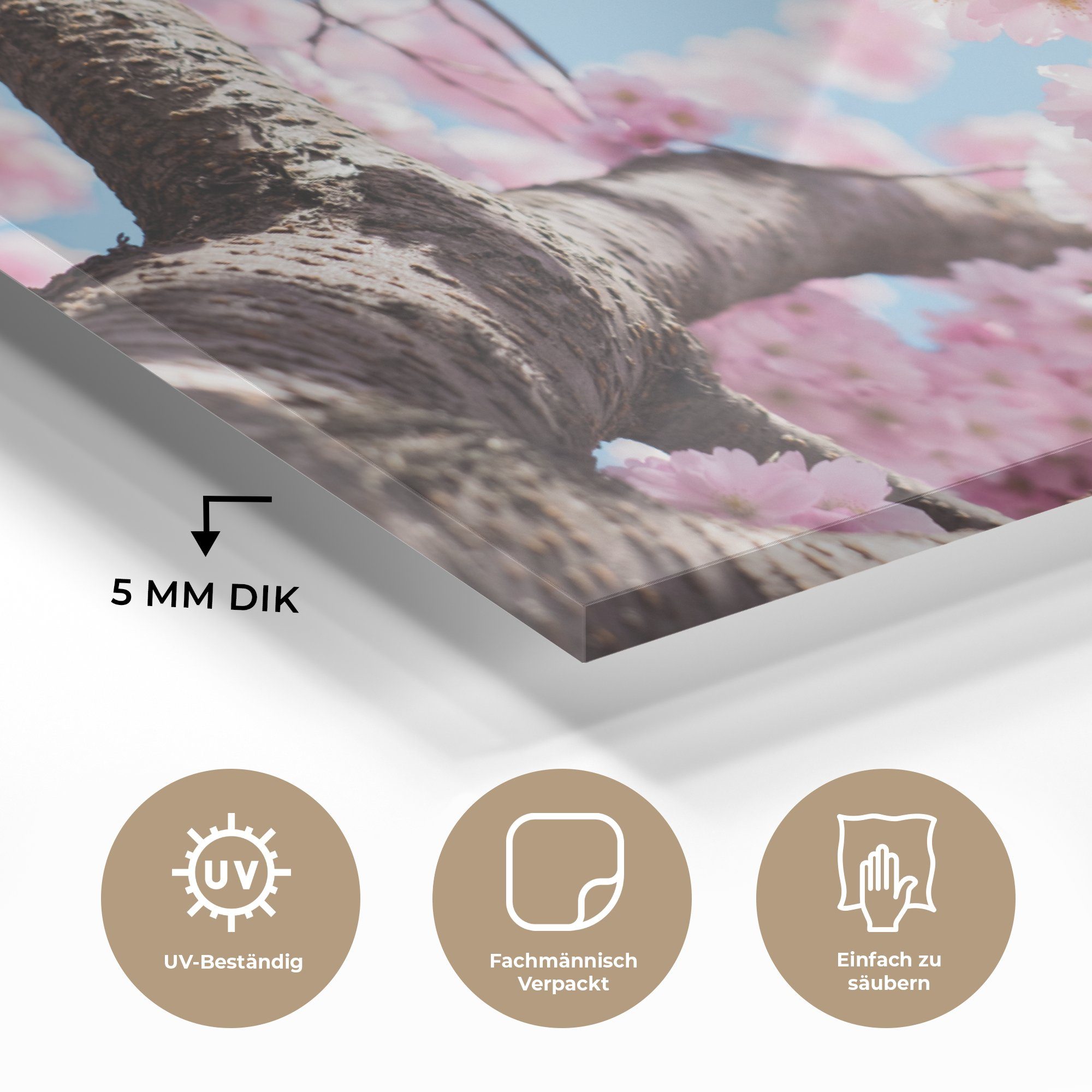 MuchoWow Acrylglasbild Blumen - Sakura Acrylglasbilder St), (1 Wohnzimmer Baum, Schlafzimmer & 