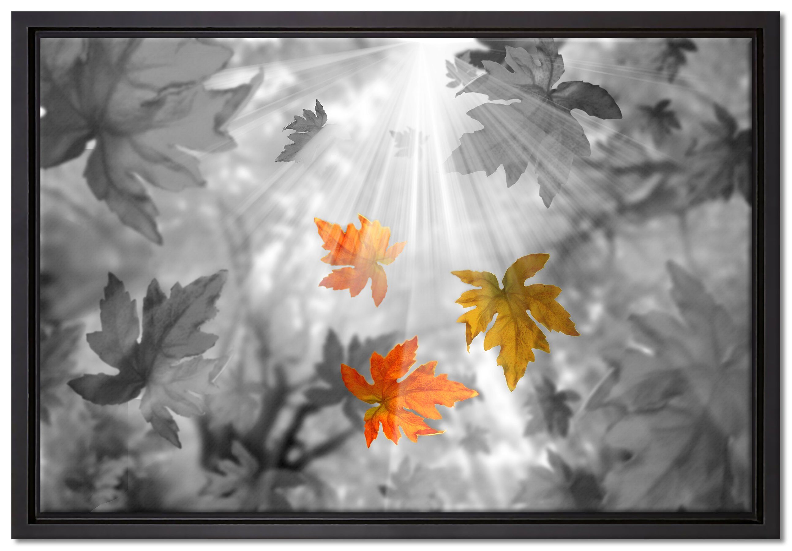 Pixxprint Leinwandbild herabfallende Herbstblätter, (1 Wanddekoration inkl. bespannt, gefasst, Leinwandbild einem Schattenfugen-Bilderrahmen Zackenaufhänger fertig St), in