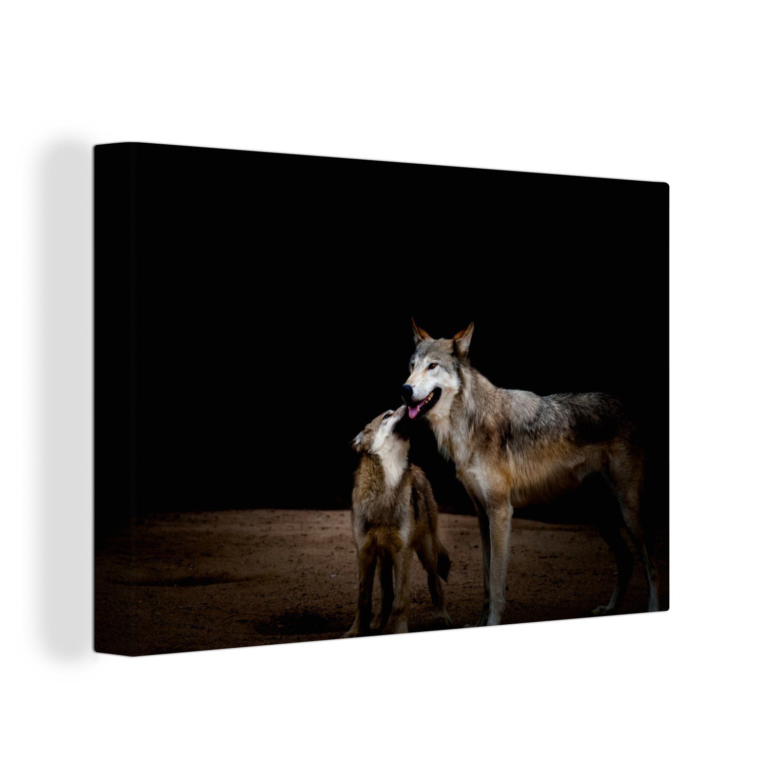 OneMillionCanvasses® Leinwandbild Mutterwölfin mit Welpe, (1 St), Wandbild Leinwandbilder, Aufhängefertig, Wanddeko, 30x20 cm