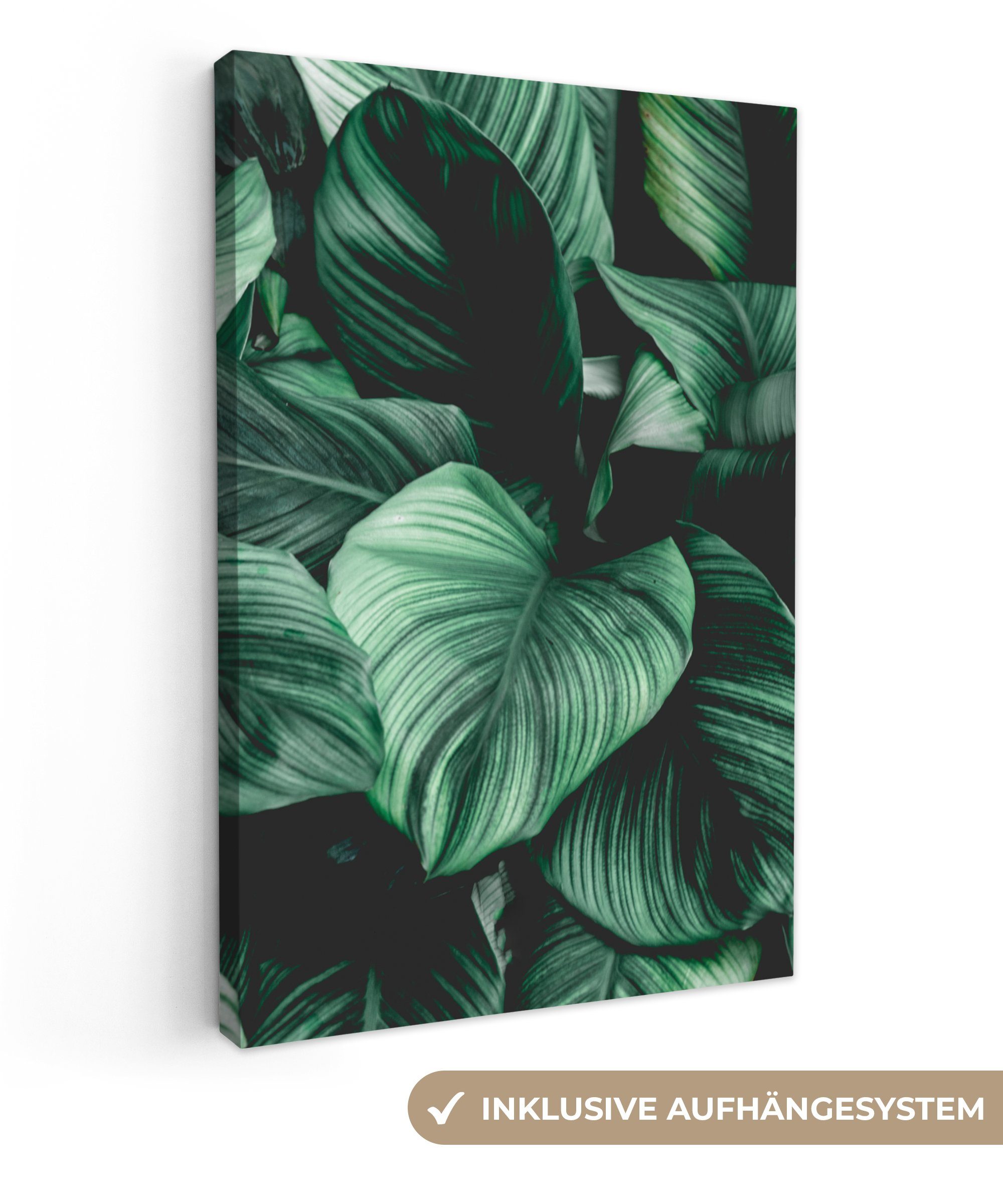 OneMillionCanvasses® Leinwandbild Dschungel - Blätter - Tropisch - Pflanzen - Natur, Fotodruck (1 St), Leinwand Canvas Wandbild, Wanddekoration 20x30 cm
