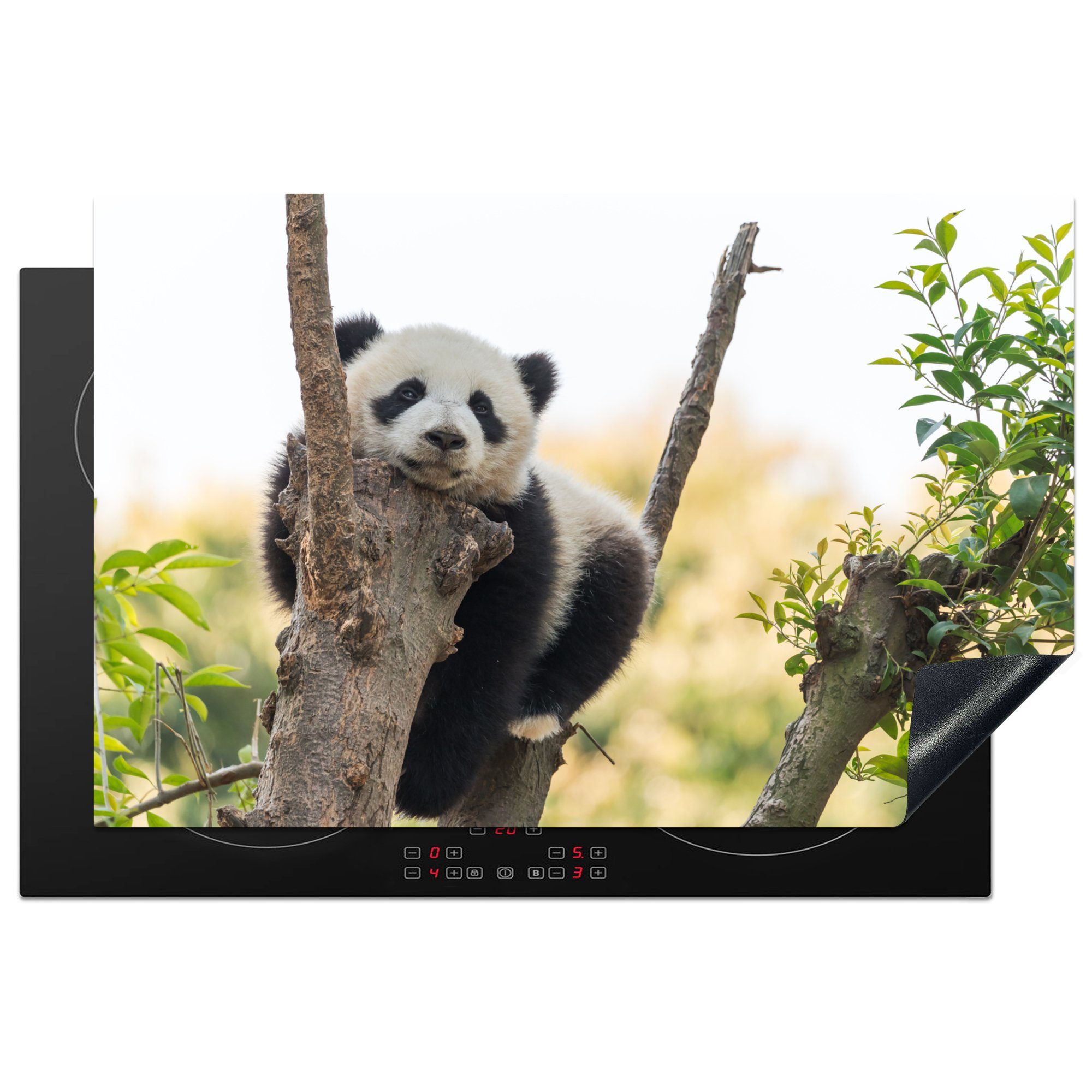 MuchoWow Herdblende-/Abdeckplatte Panda - küche, Schutz - Baum cm, für Vinyl, 81x52 (1 Induktionskochfeld die Ceranfeldabdeckung Licht, tlg)