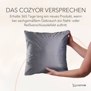 Cozyor Dekokissen Set aus Kissen + Kissenbezug Samt Sofakissen, vers. Größen & Farben, weiches Samtkissen 40 x 40 cm / 2er-Set mit verstecktem Reißverschluss