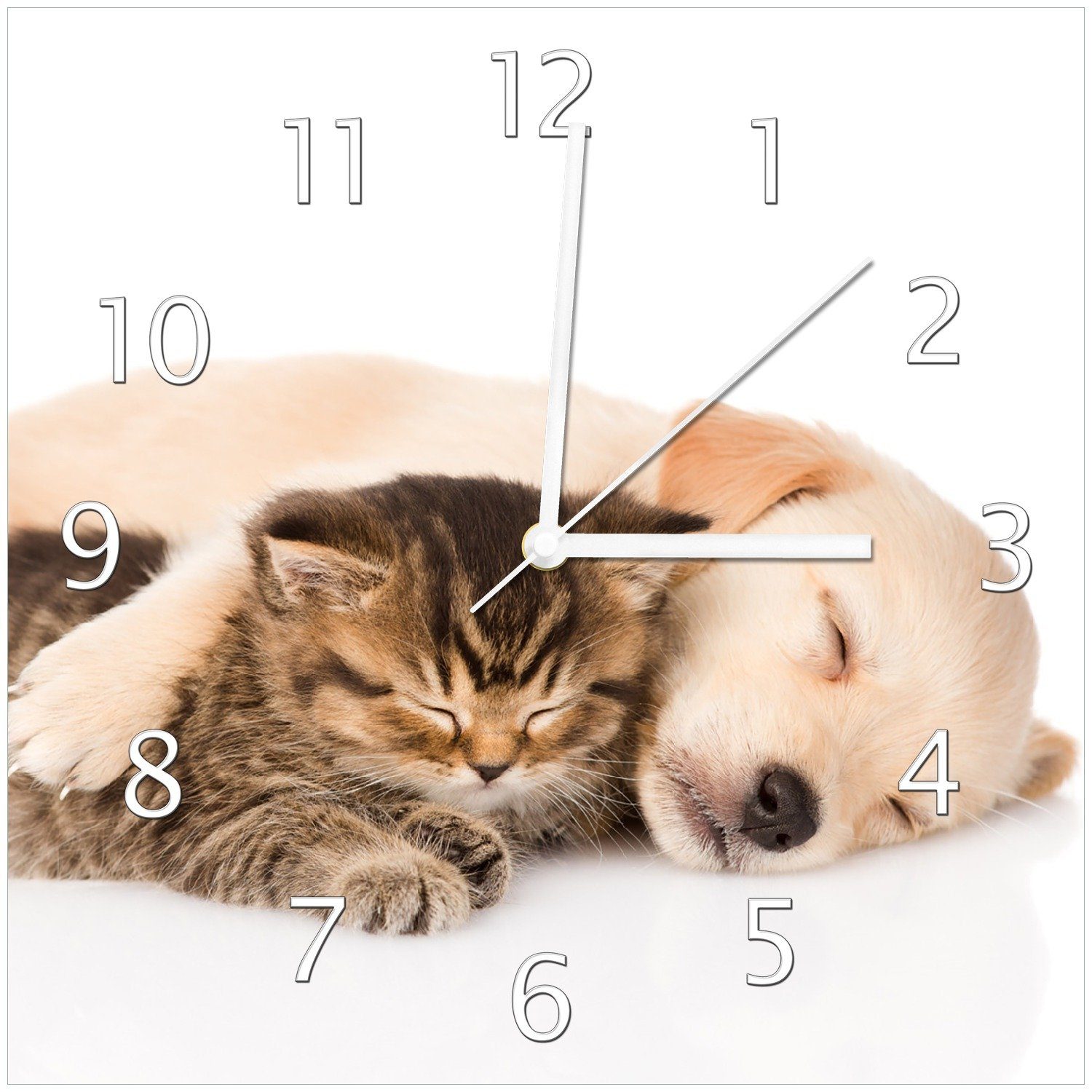 Harmonie Hund Kuschelnde Katze Wanduhr Wallario Tiere und in (Glasuhr) -