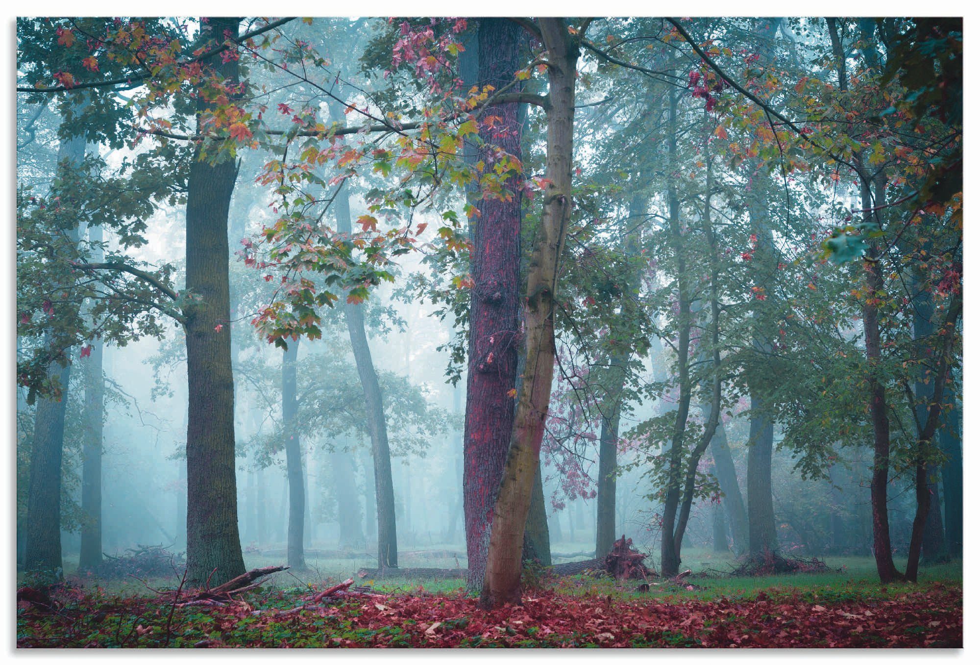 oder (1 Nebel Wald, Artland im Waldbilder versch. Größen Leinwandbild, in Poster Alubild, Wandaufkleber als Wandbild St),