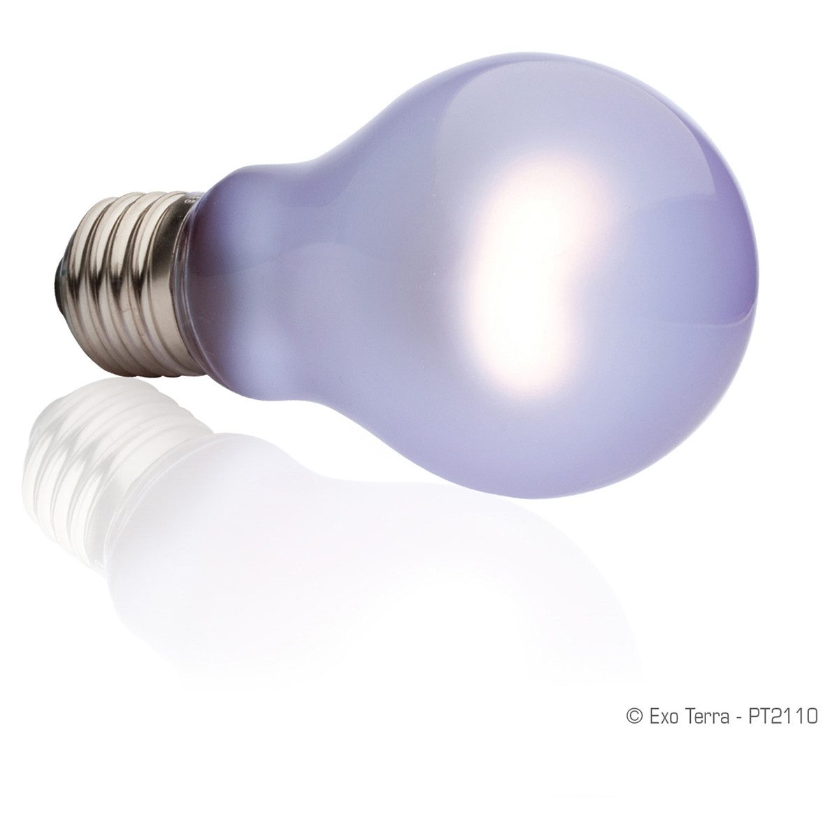 Exo Terra Terrarienleuchte Daytime Heat Lamp - Neodymium Tageslichtlampe