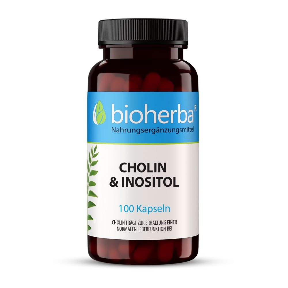Cholin & Inositol 100 Kapseln Kapseln