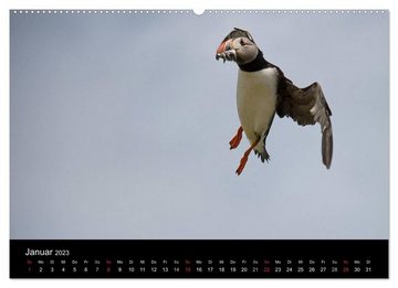 CALVENDO Wandkalender Papageientaucher 2023CH-Version (Premium, hochwertiger DIN A2 Wandkalender 2023, Kunstdruck in Hochglanz)