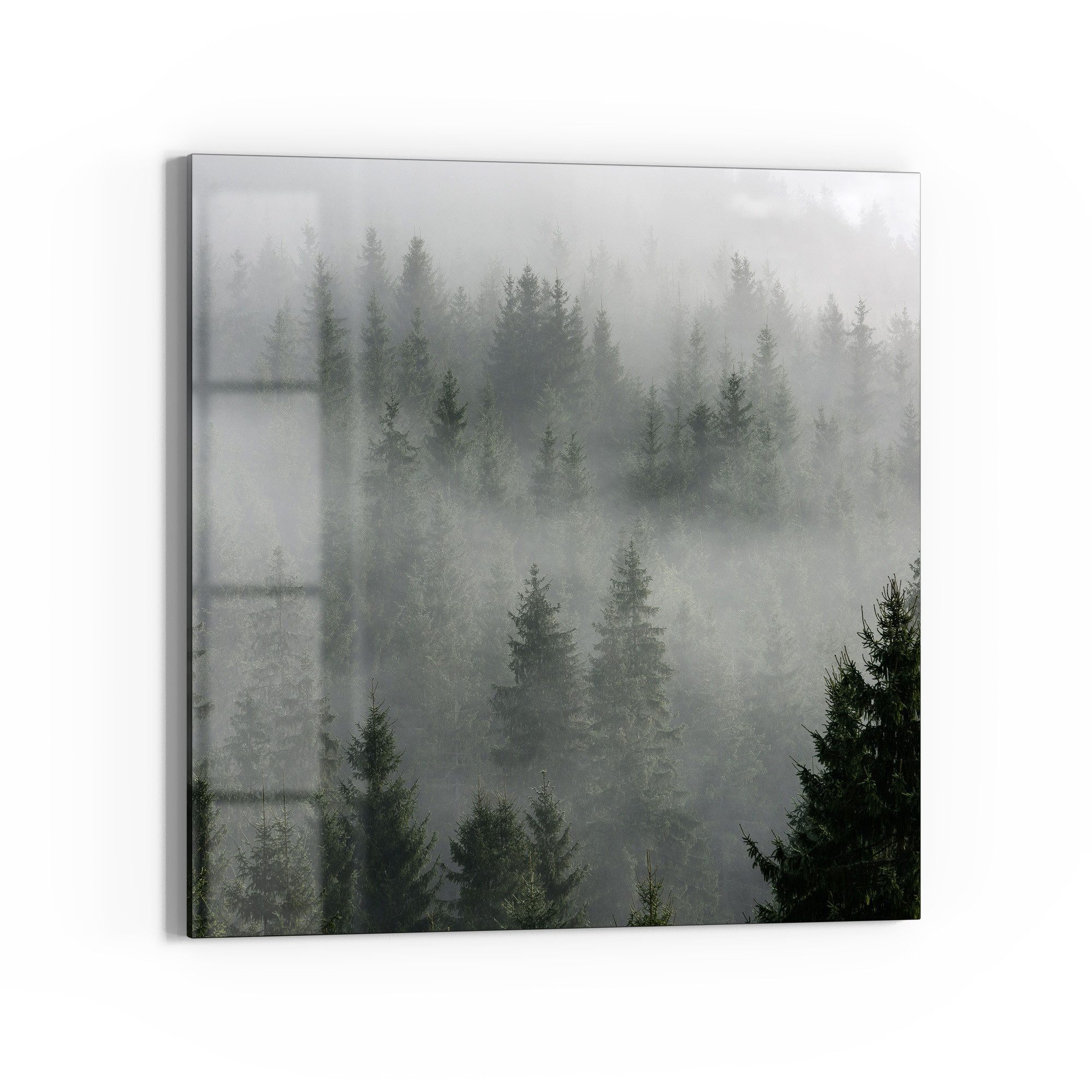 DEQORI Glasbild 'Nebelwaldmystik', 'Nebelwaldmystik', Glas Wandbild Bild schwebend modern
