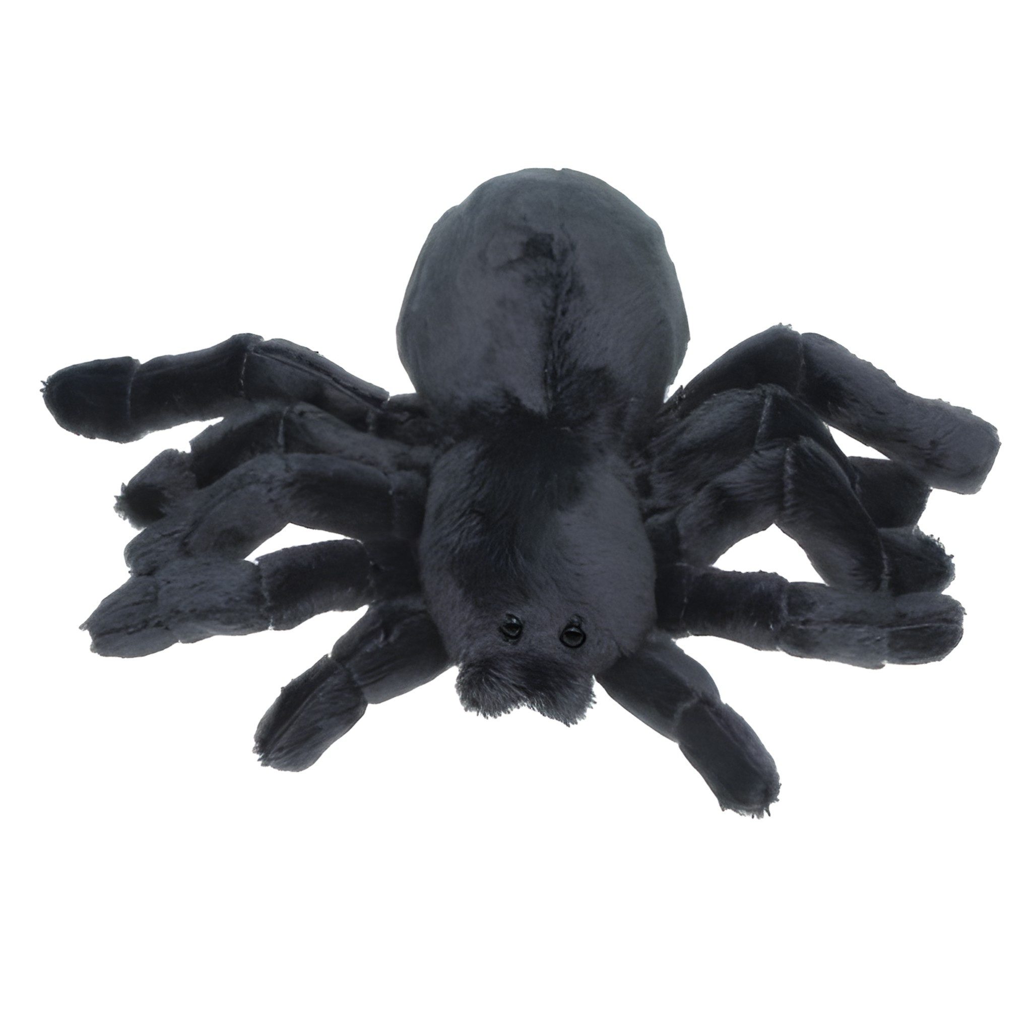 Cornelißen Tierkuscheltier Plüsch Vogelspinne 20 cm, Polyester
