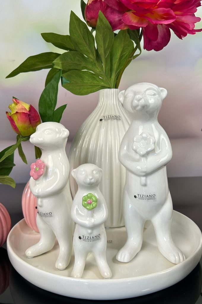 TIZIANO - DESIGN & EMOTIONS Dekofigur Deko Erdmännchen Oskar mit Blume in 3 Farben