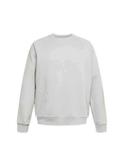 Esprit Collection Sweatshirt Sweatshirt mit Zippertasche (1-tlg)