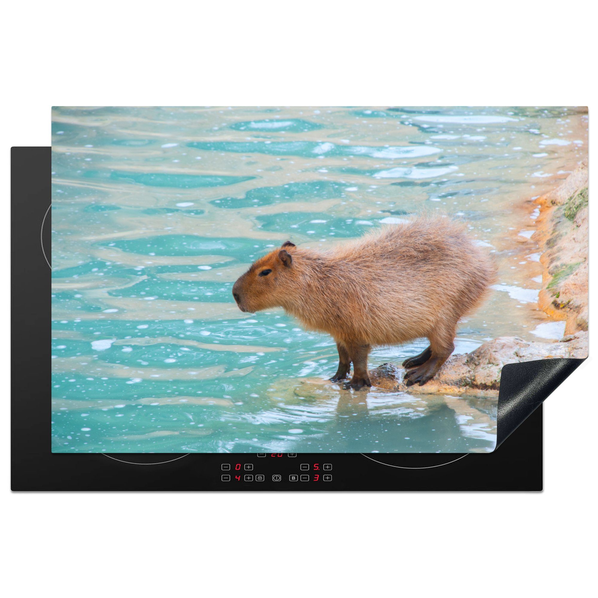 MuchoWow Herdblende-/Abdeckplatte Ein Wasserschwein steht am Wasser im weichen Sonnenlicht, Vinyl, (1 tlg), 81x52 cm, Induktionskochfeld Schutz für die küche, Ceranfeldabdeckung