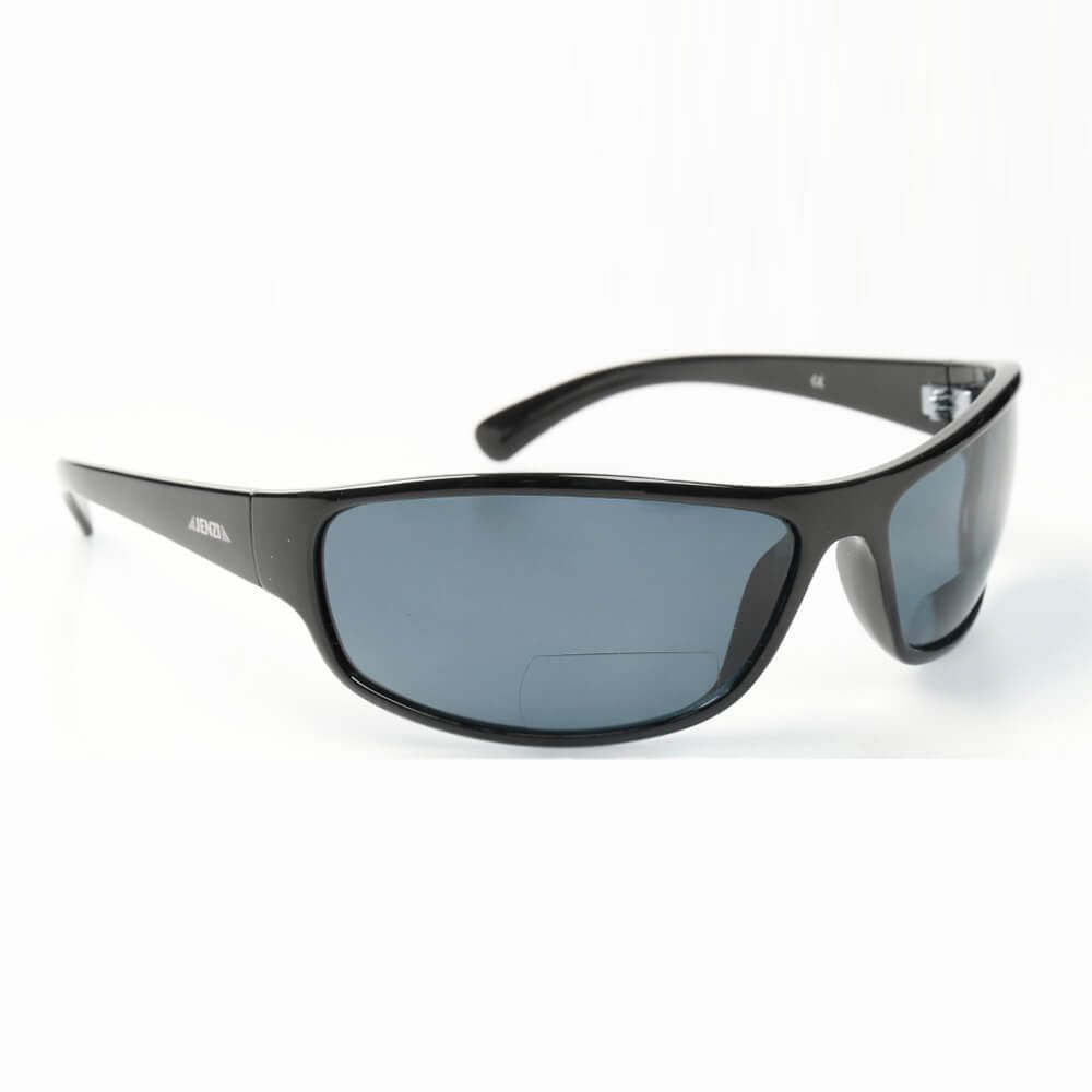 Jenzi Sonnenbrille Jenzi Polarisationsbrille Reader mit Etui