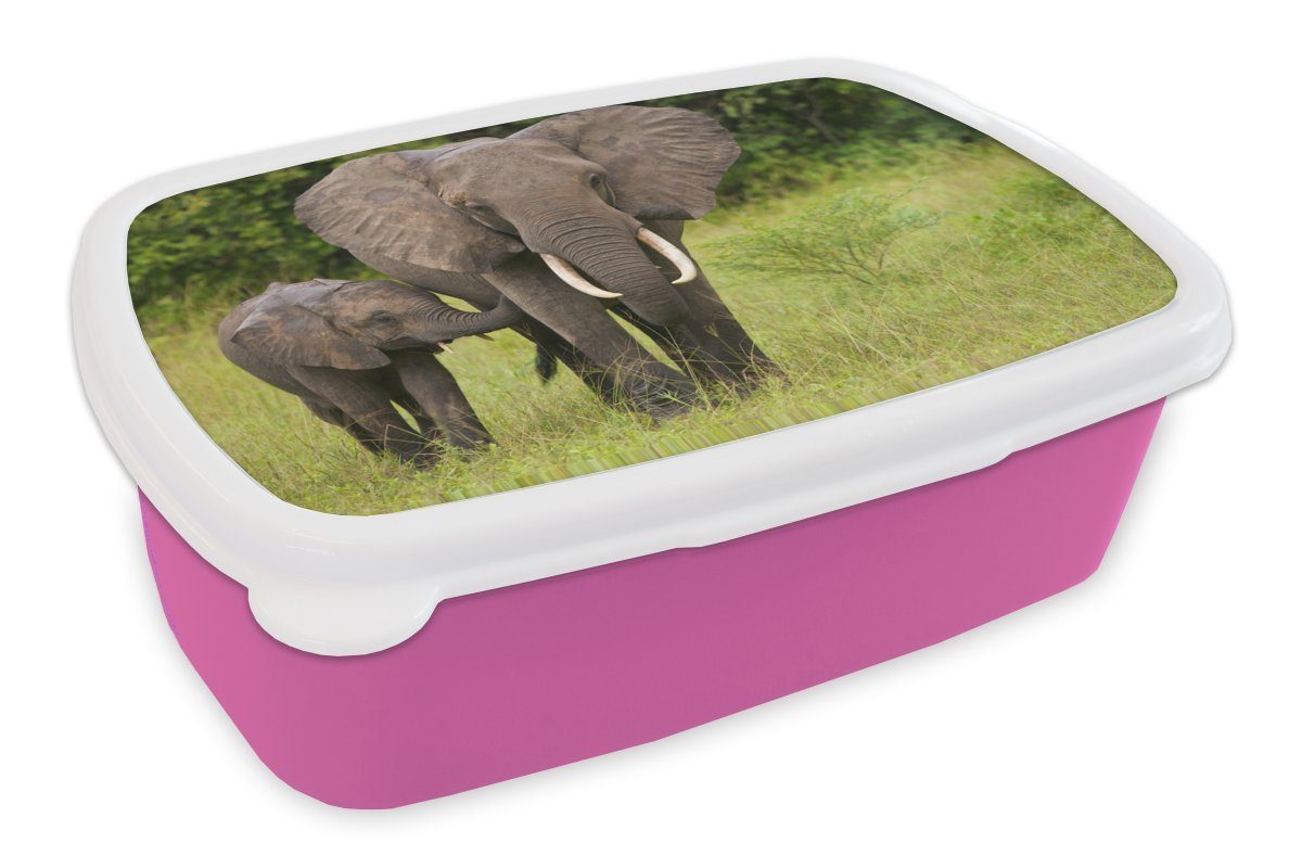 Kunststoff, Erwachsene, rosa Landschaft, Brotdose Kinder, Snackbox, für Mädchen, Brotbox MuchoWow (2-tlg), - Kalb - Elefant Lunchbox Kunststoff