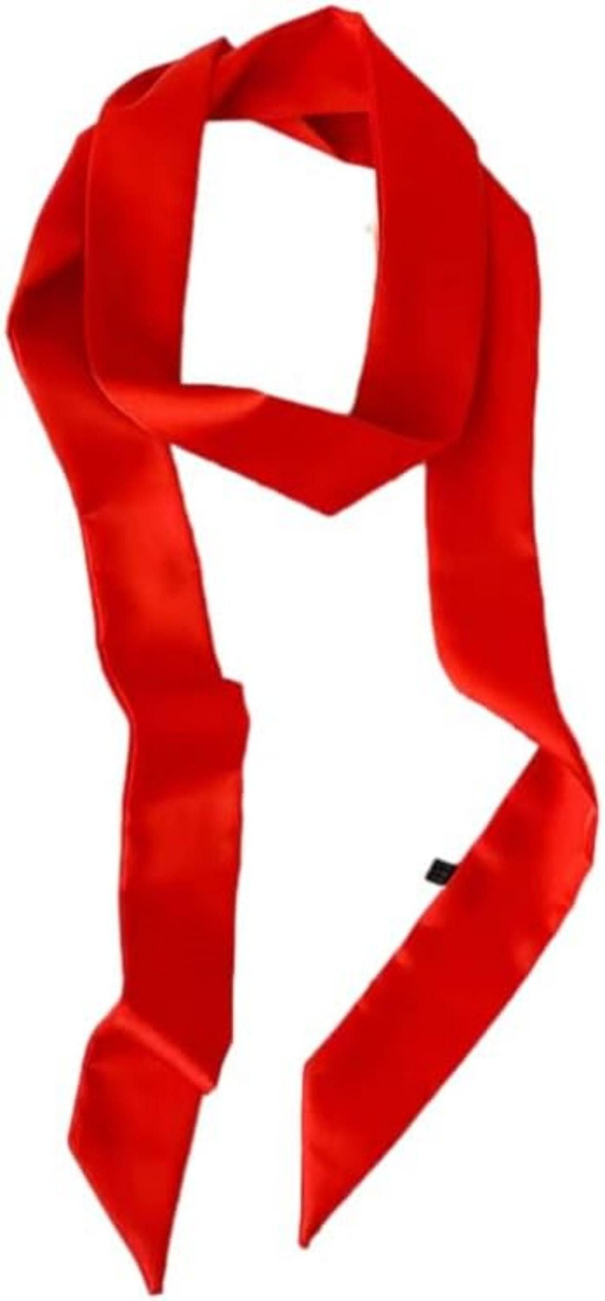 Zaewry Seidenschal Damen Satin Gürtel 5cm x 195cm Band Imitated Silk Lange Schal Kleid